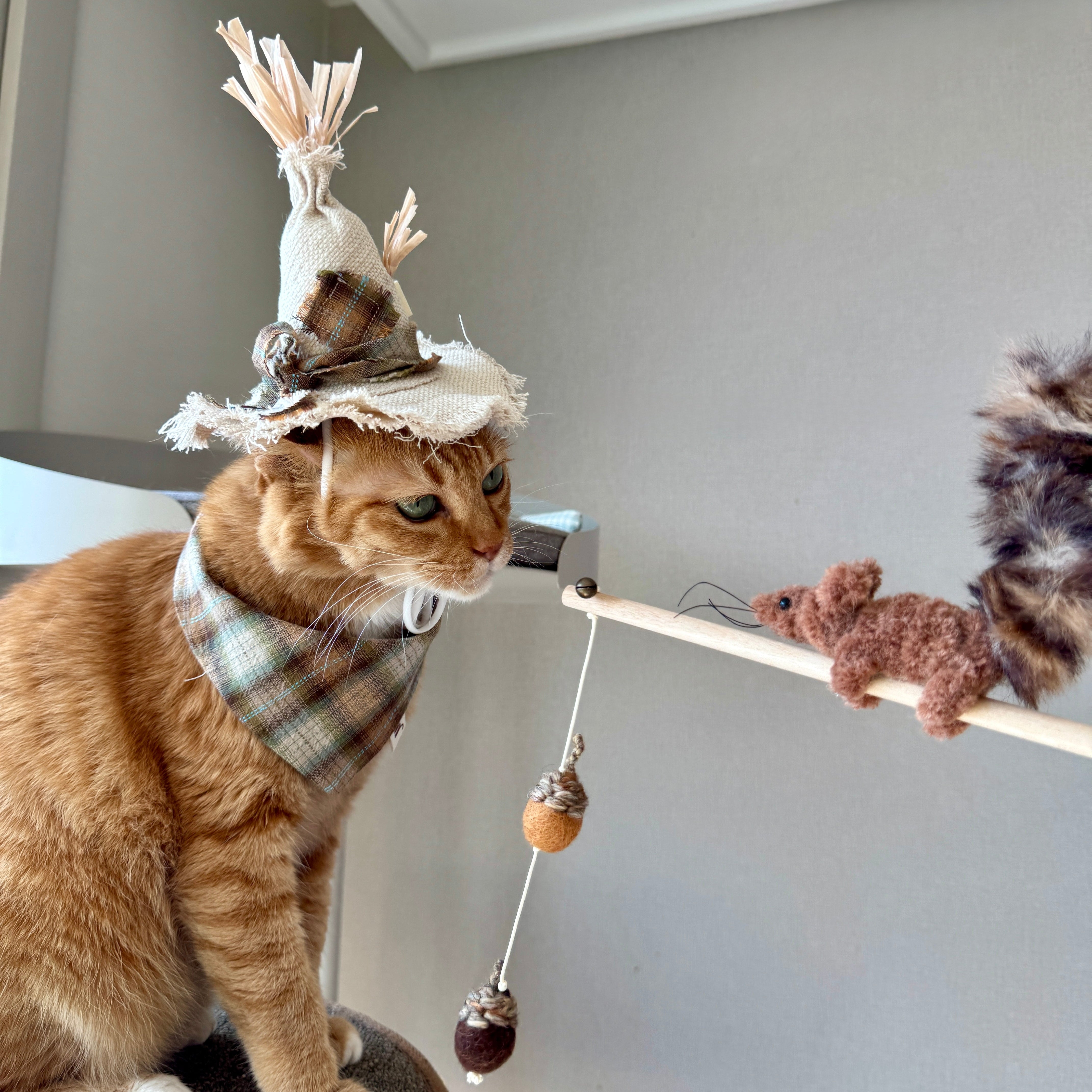 Scarecrow Hat
