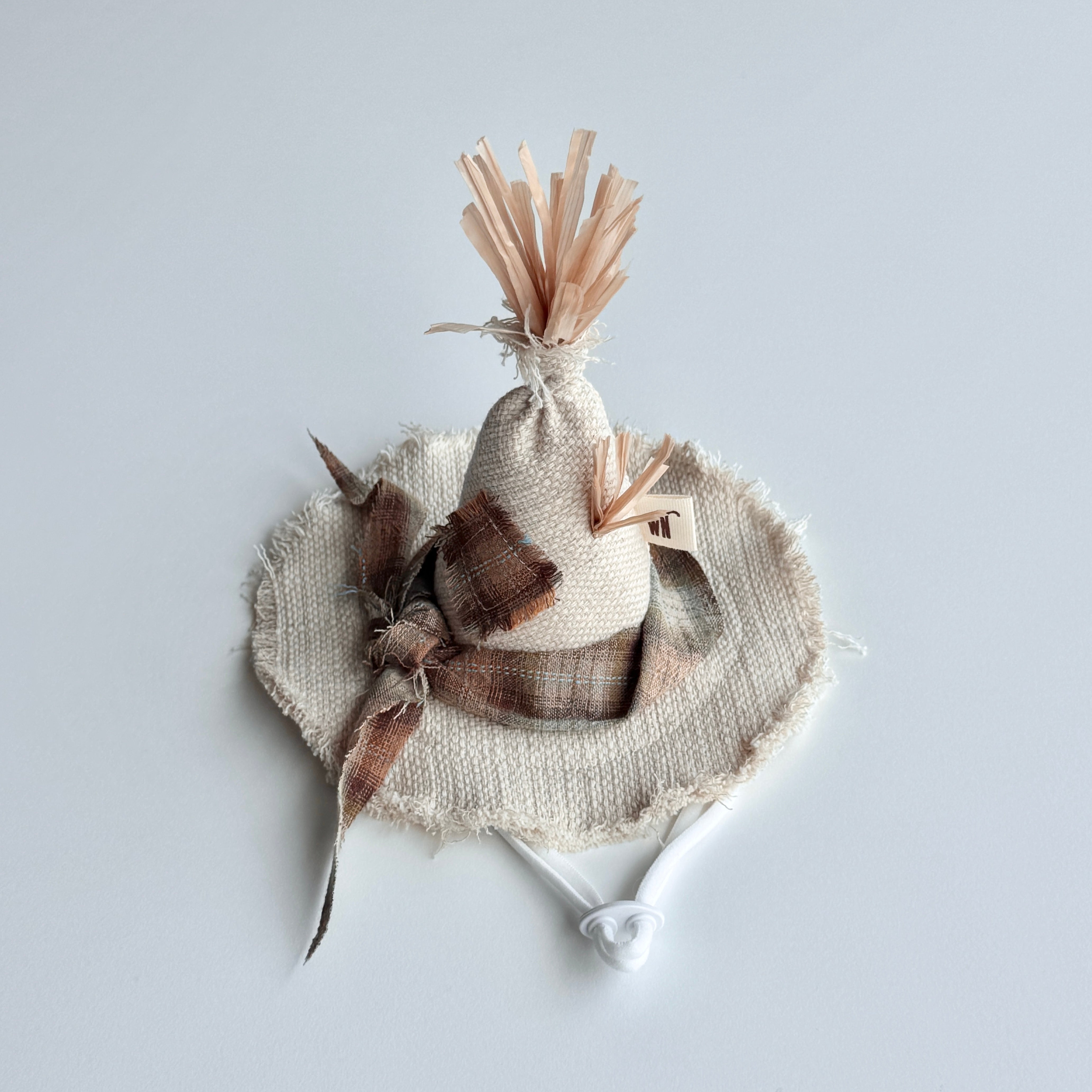 Scarecrow Hat