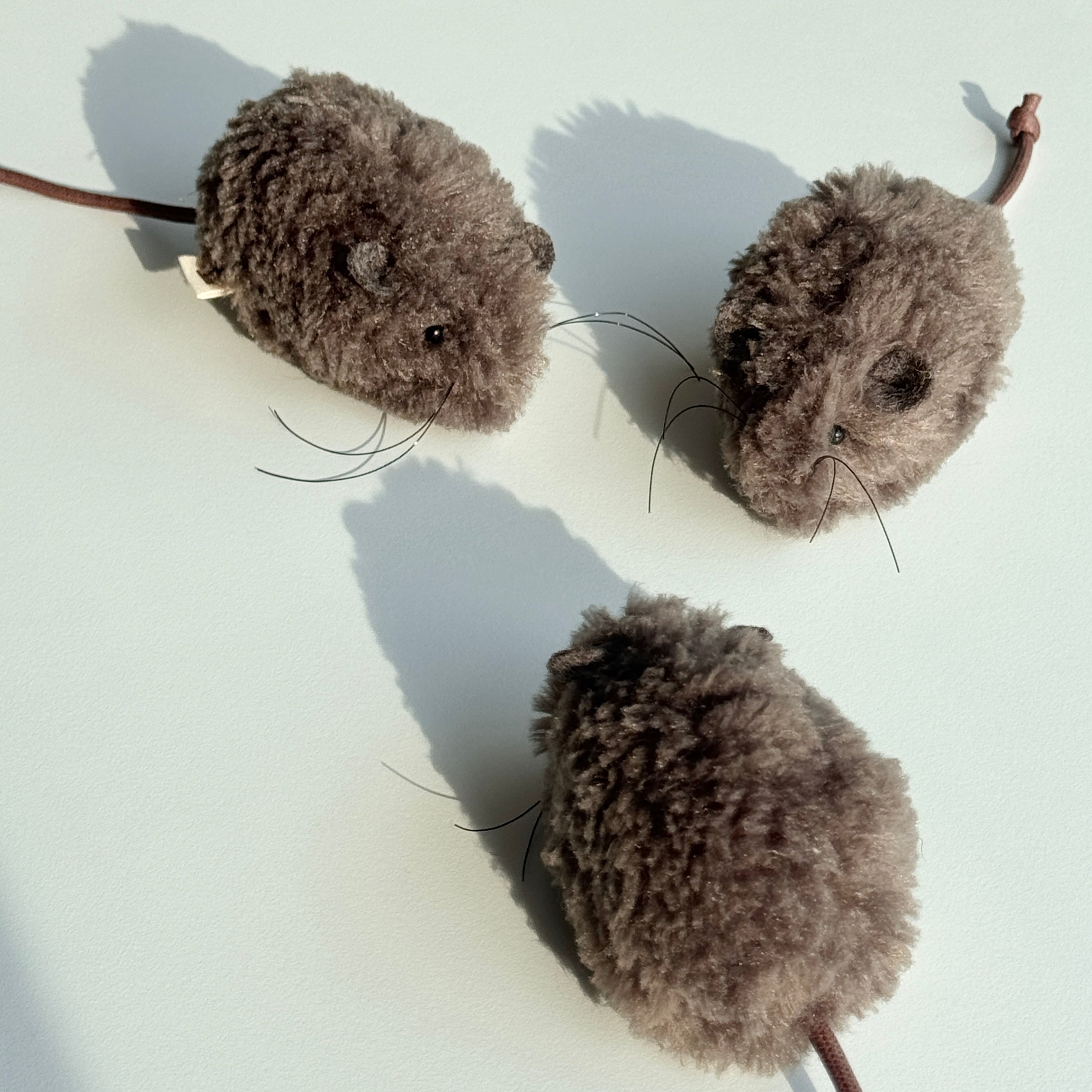 Field Mouse