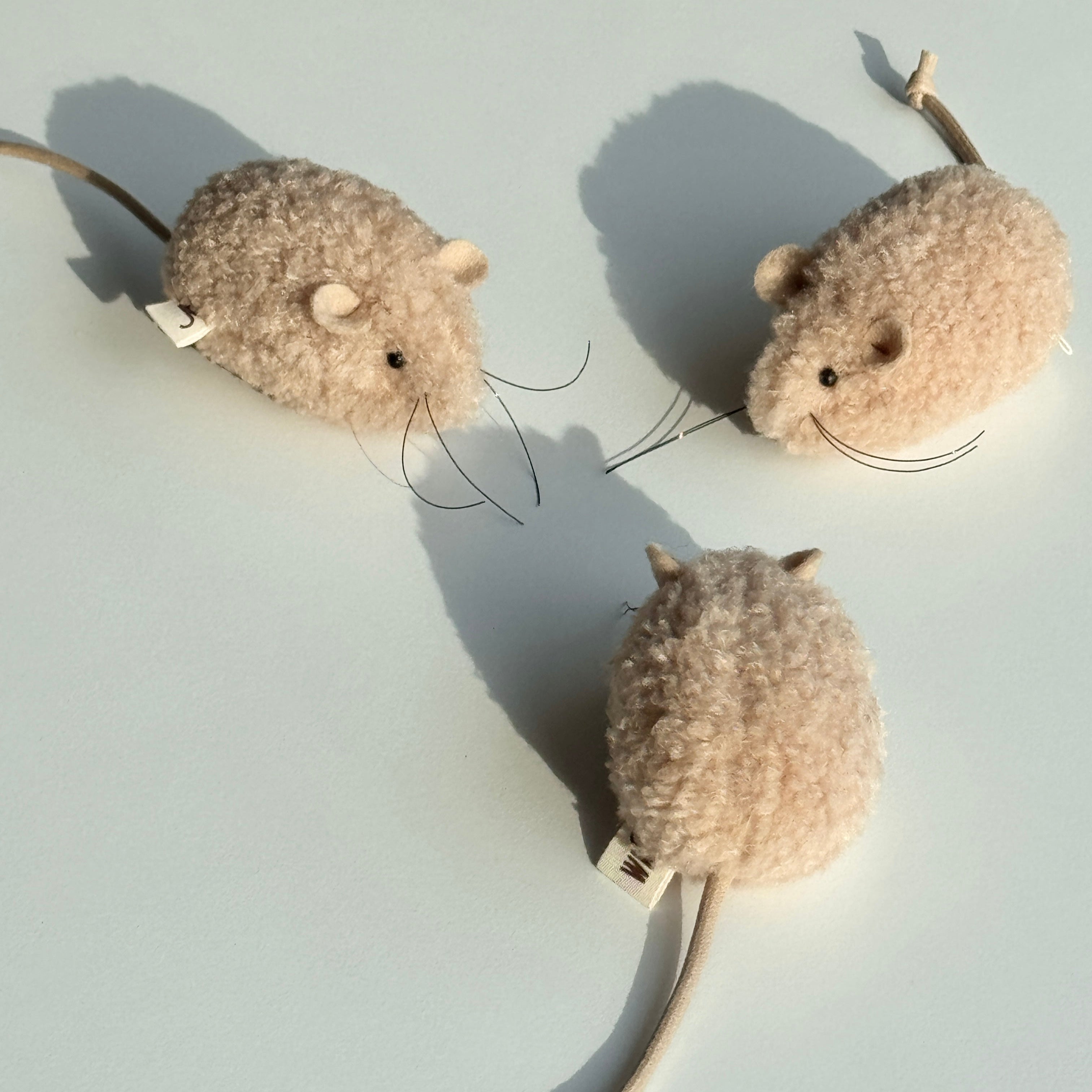 Field Mouse