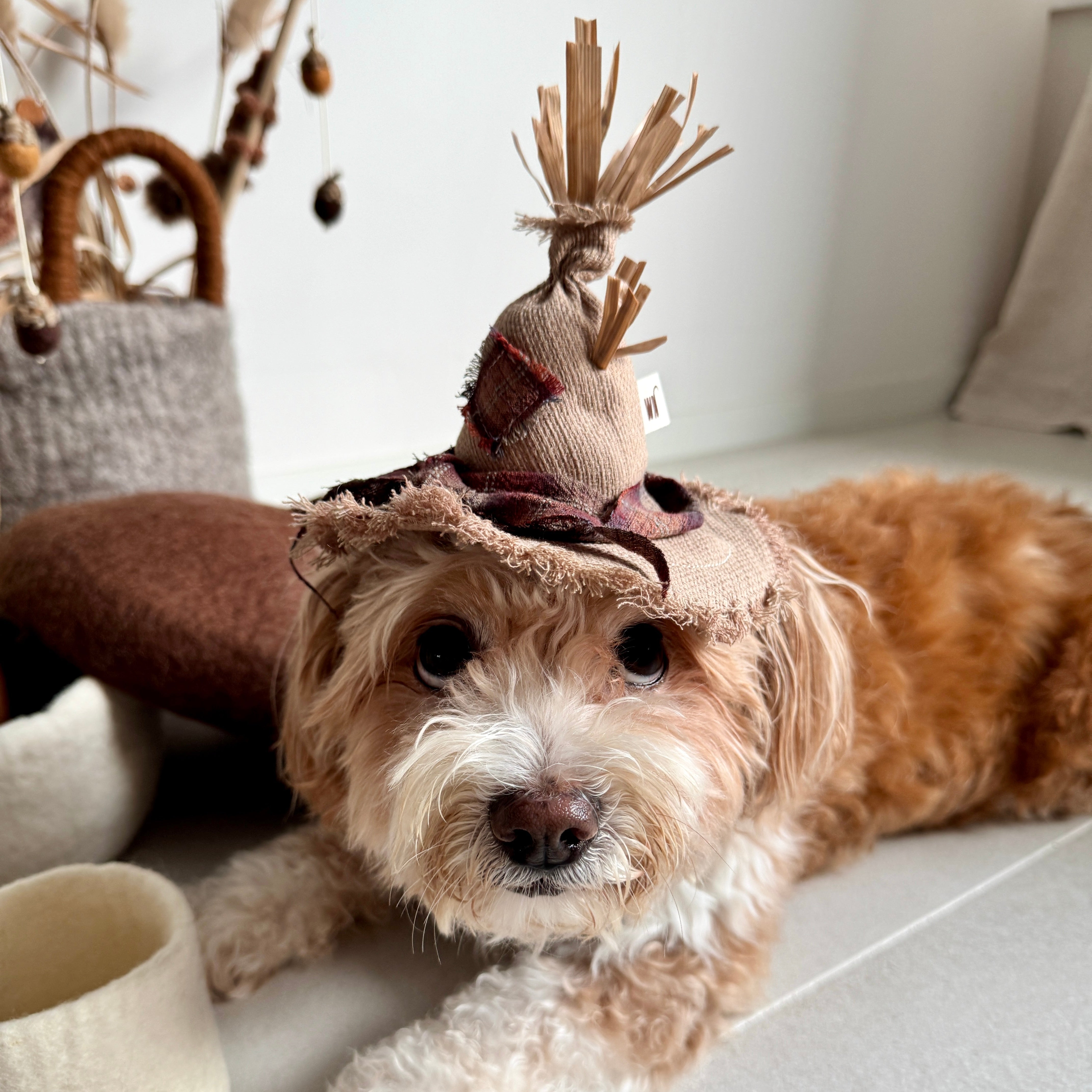 Scarecrow Hat