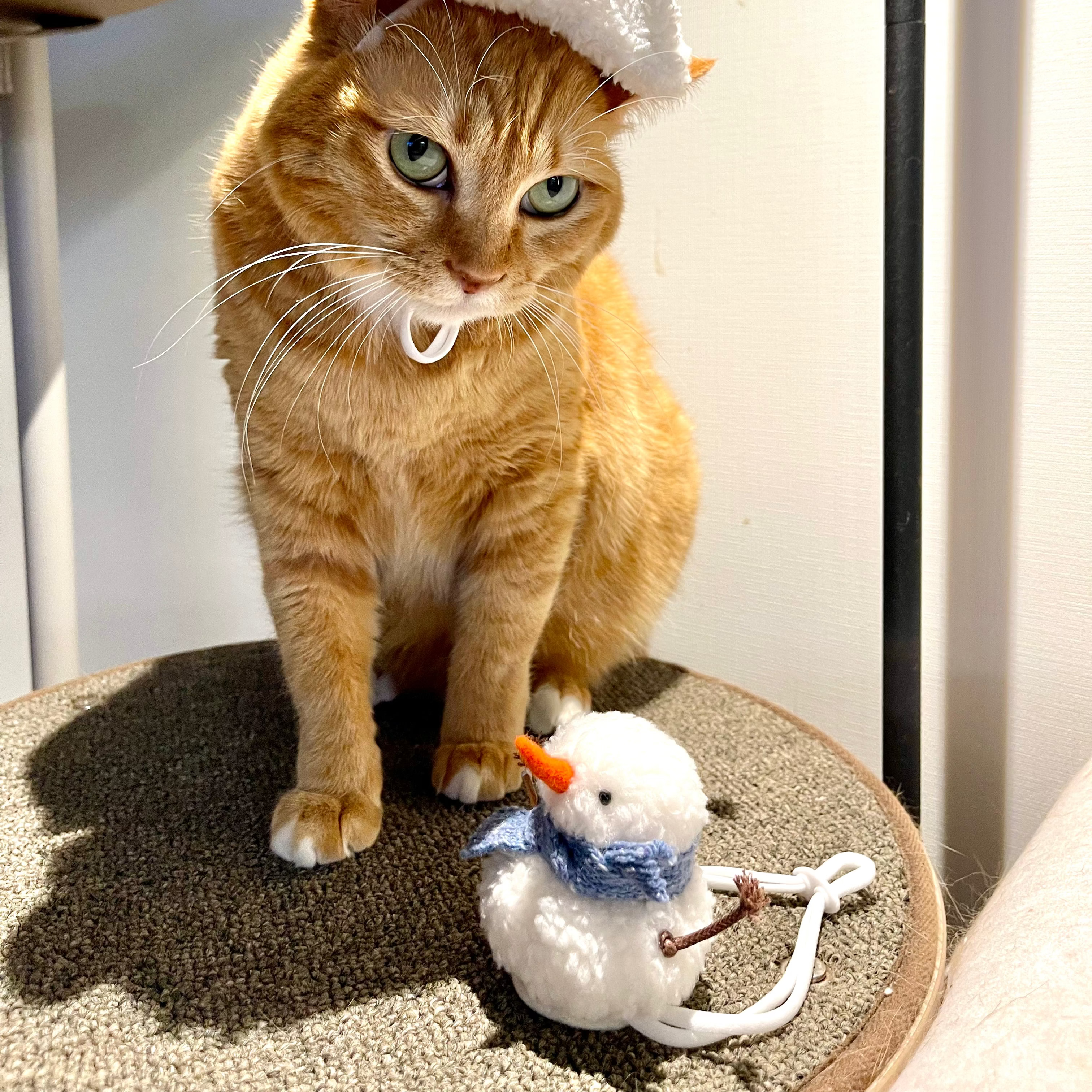 Melting Snowman Hat 1 (pre-order)