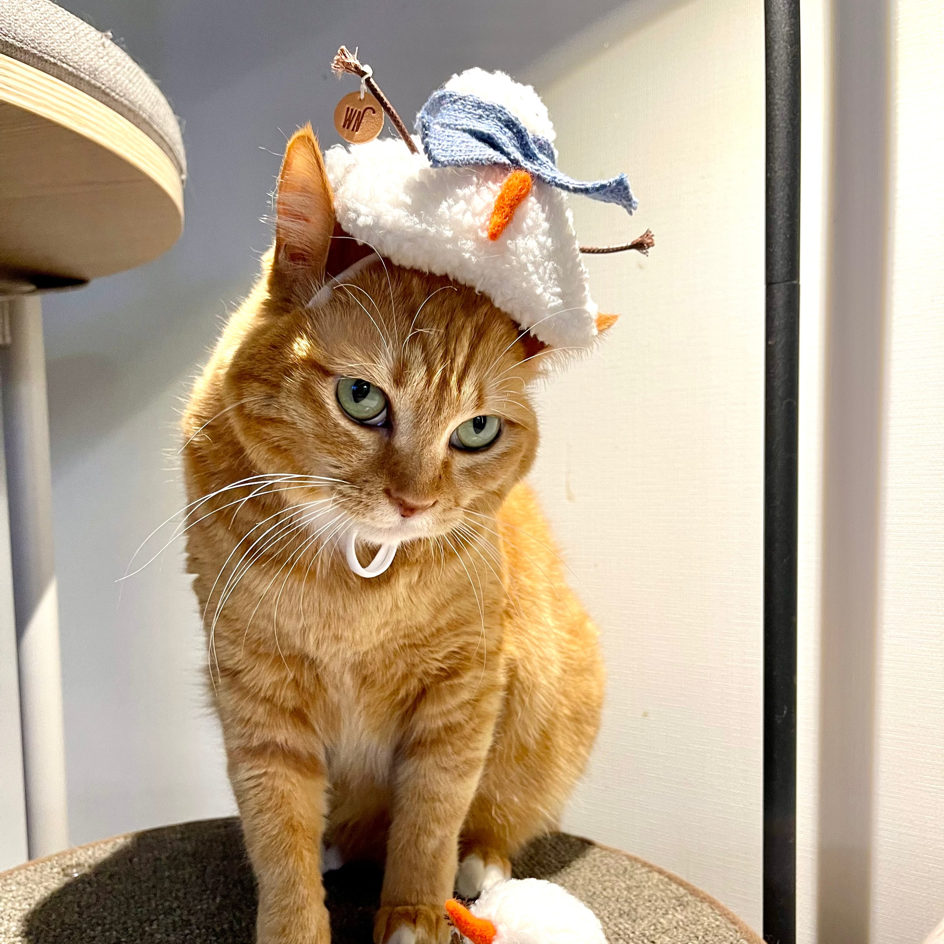 Melting Snowman Hat 2 (pre-order)