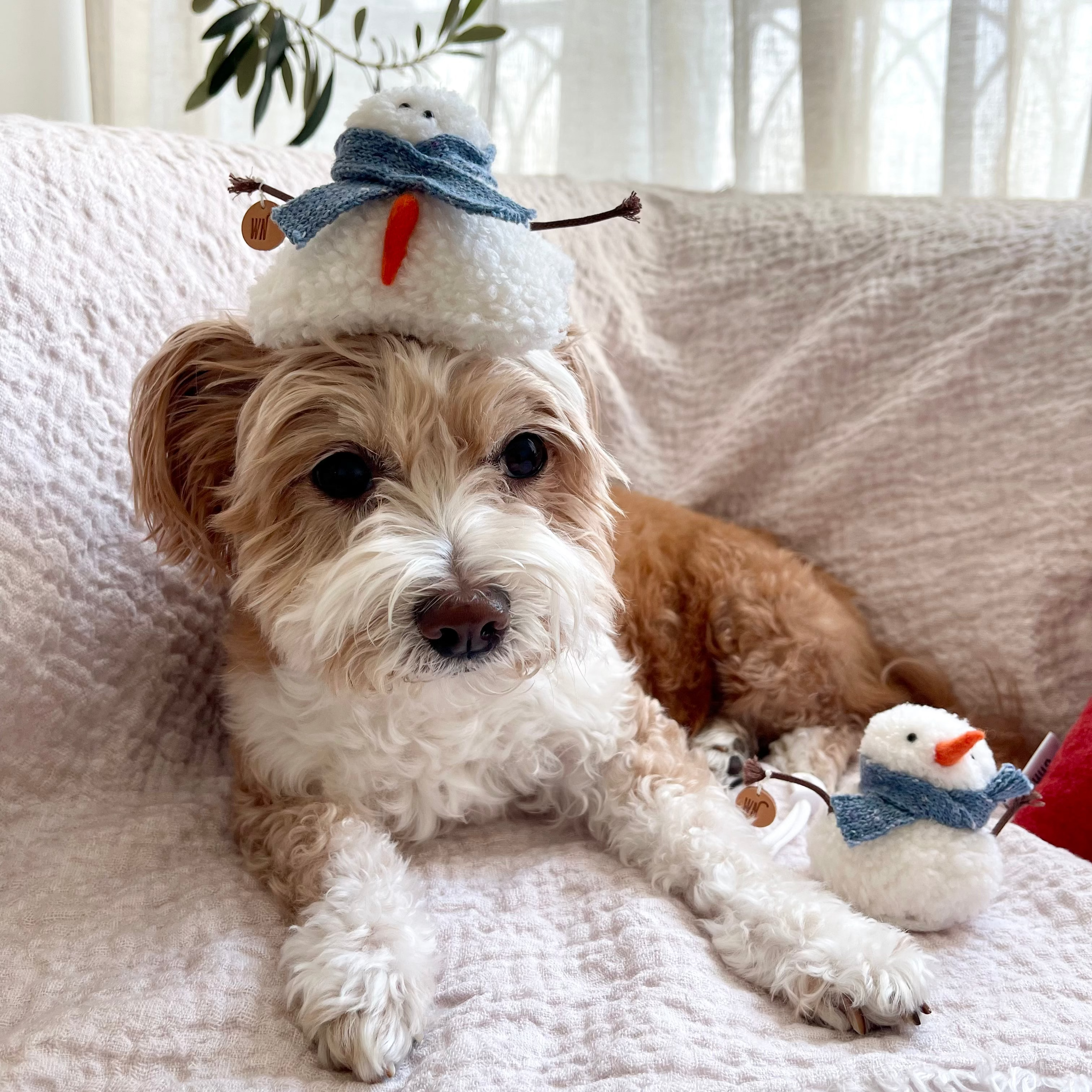 Melting Snowman Hat 2 (pre-order)