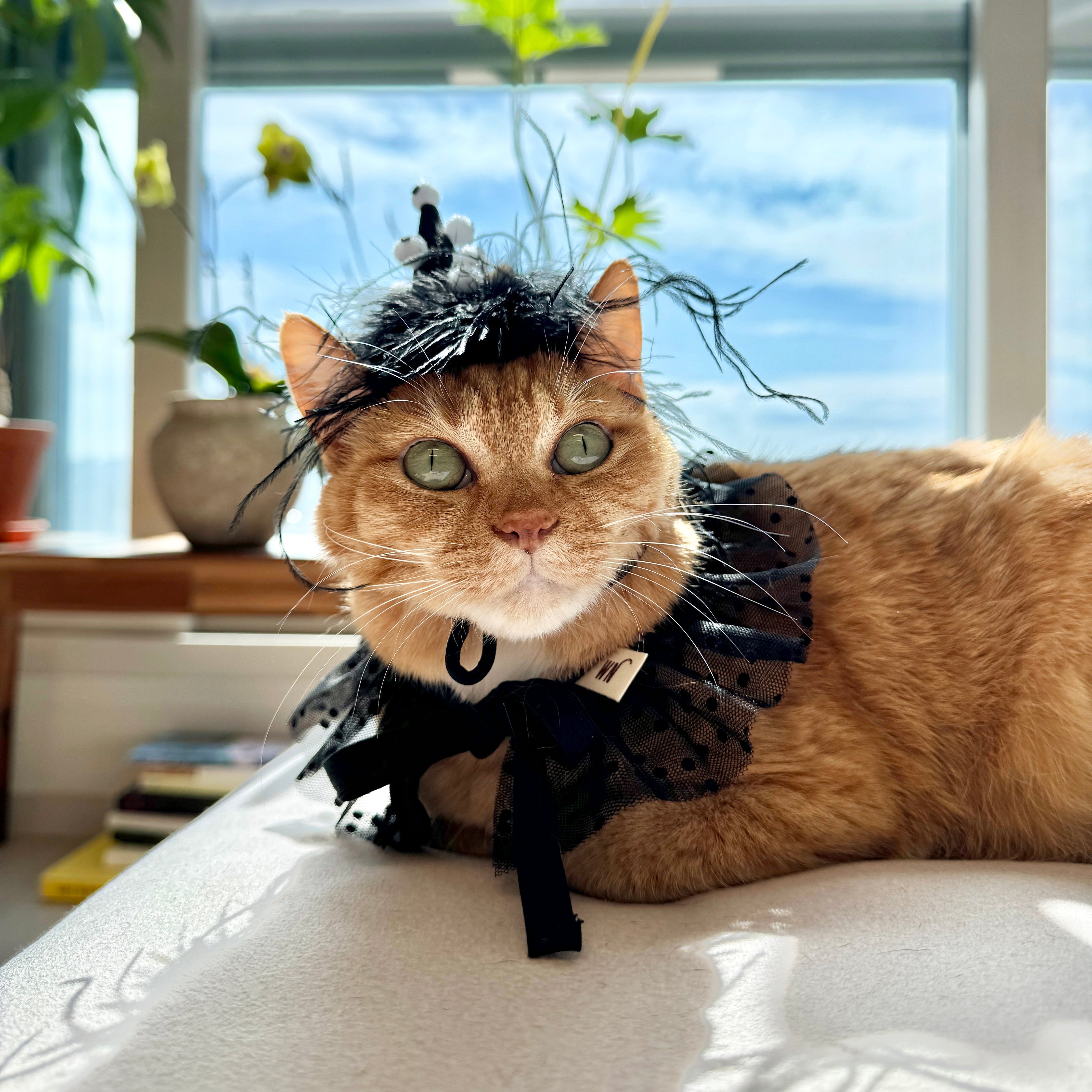 Eyeball Monster Headpiece