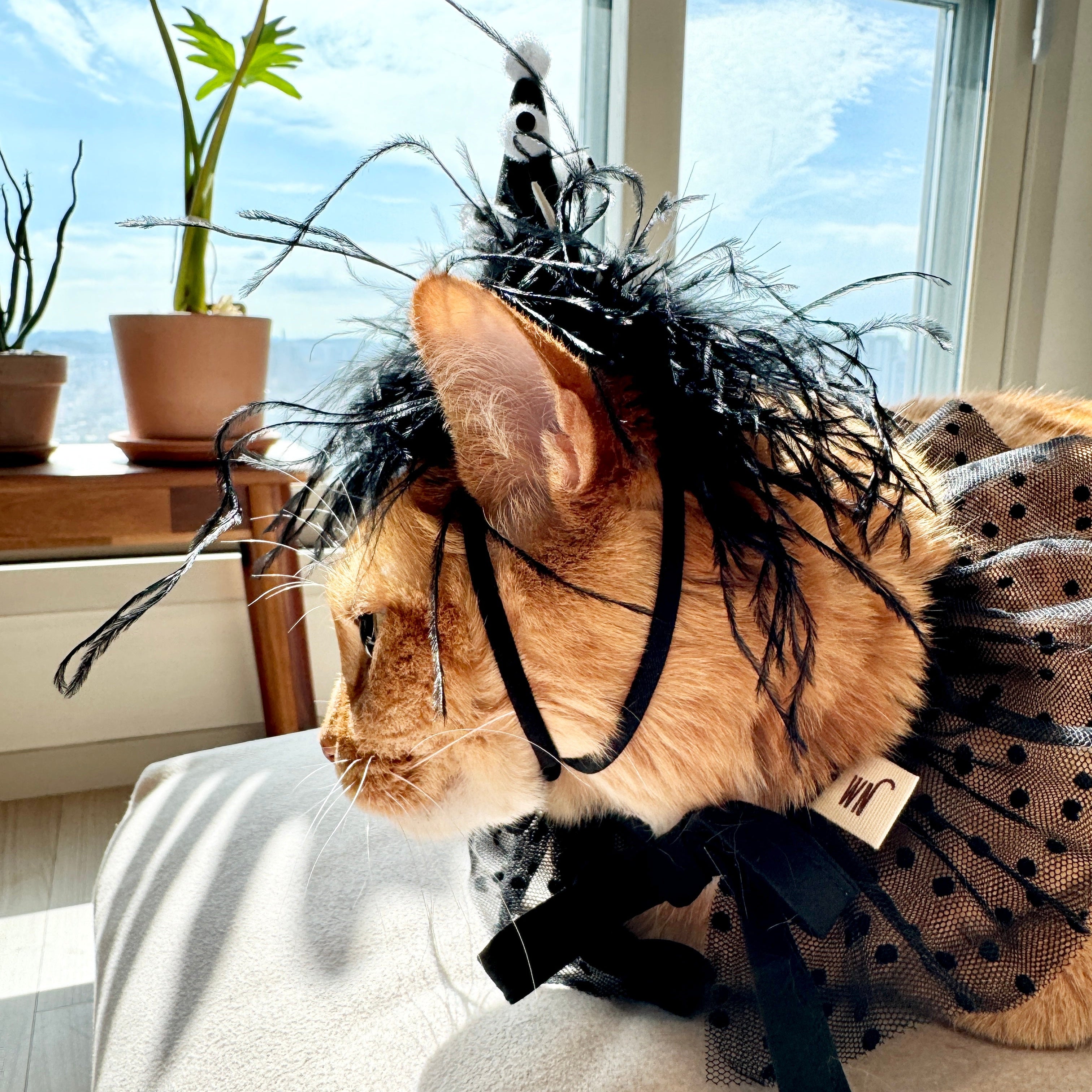 Eyeball Monster Headpiece