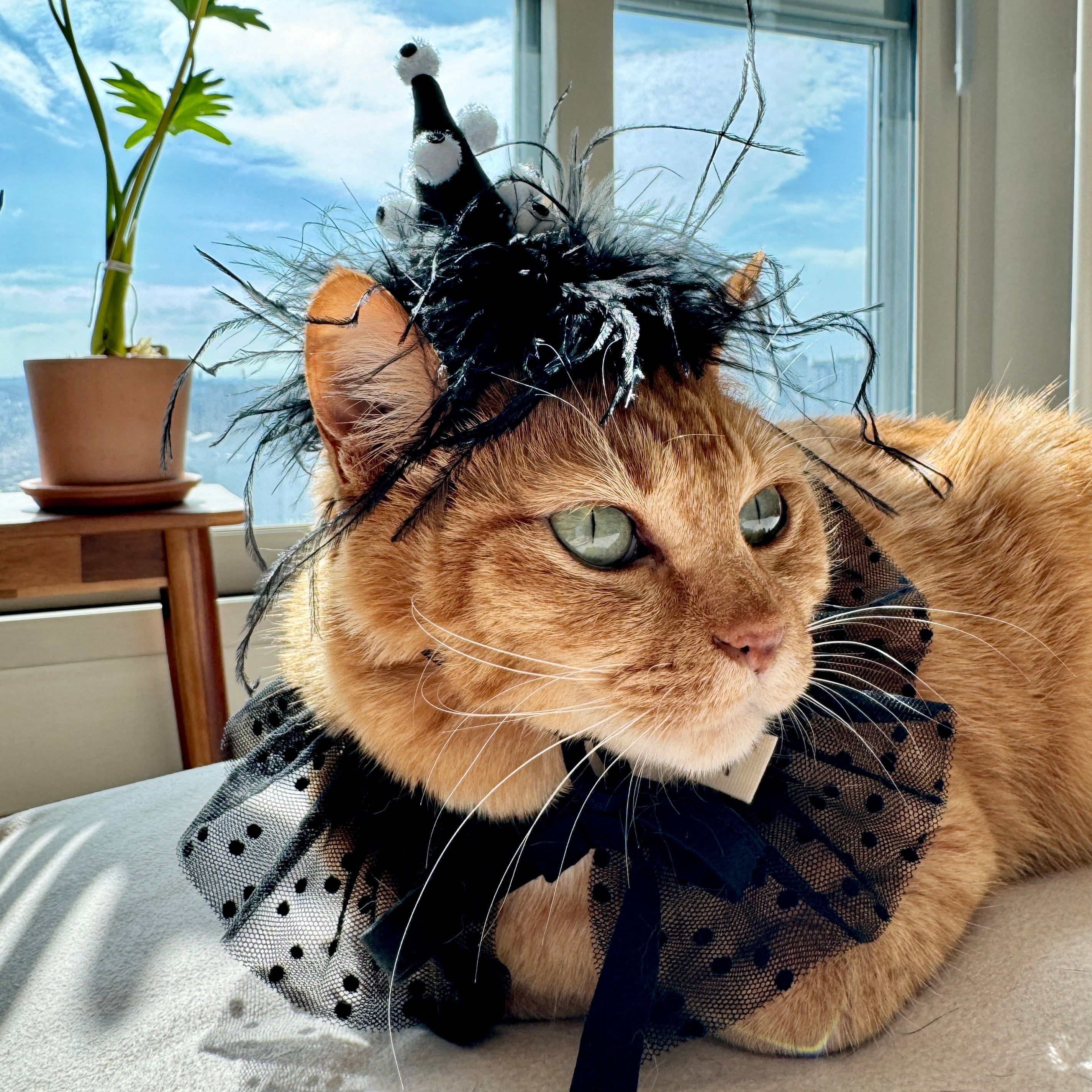 Eyeball Monster Headpiece