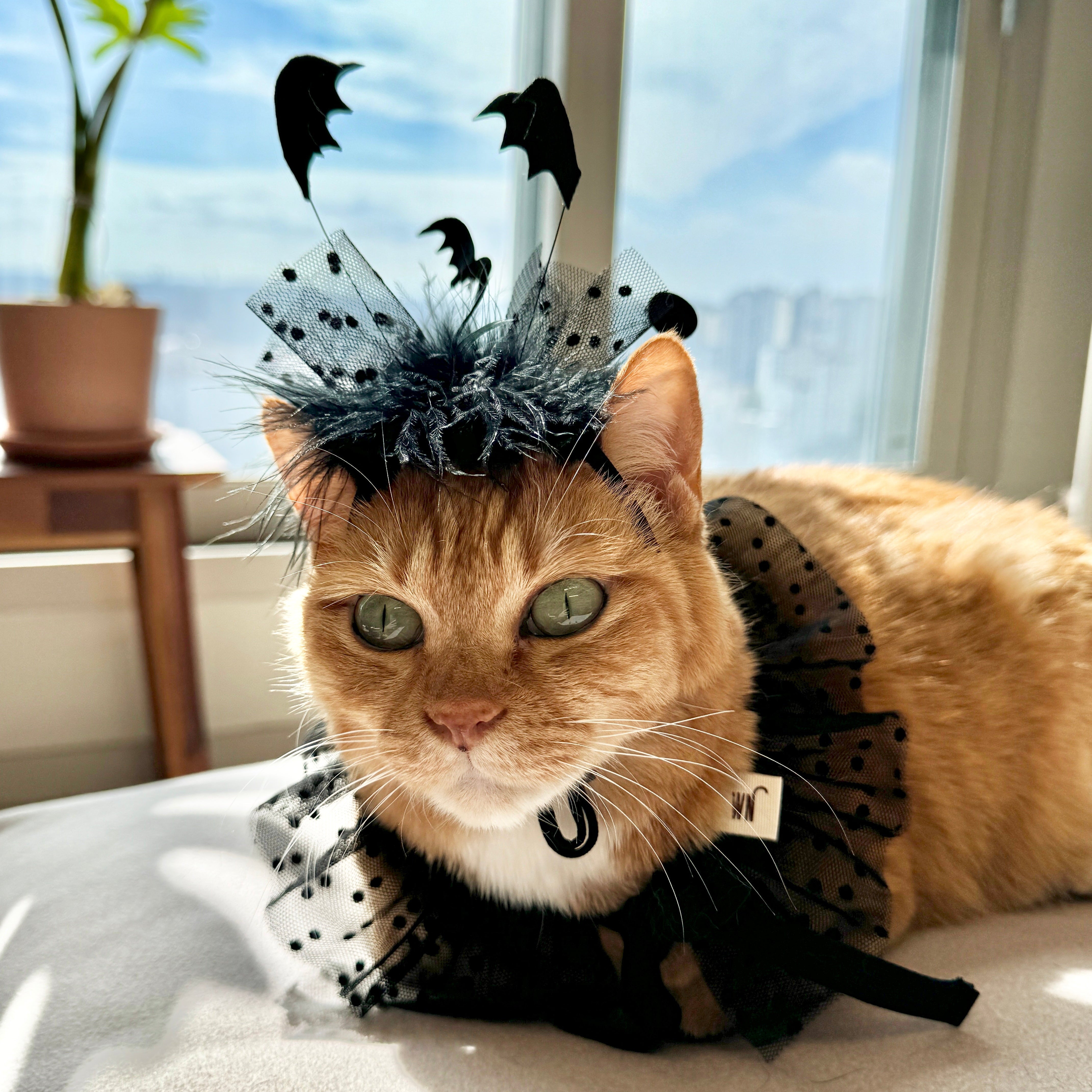 Flock of Bats Headpiece