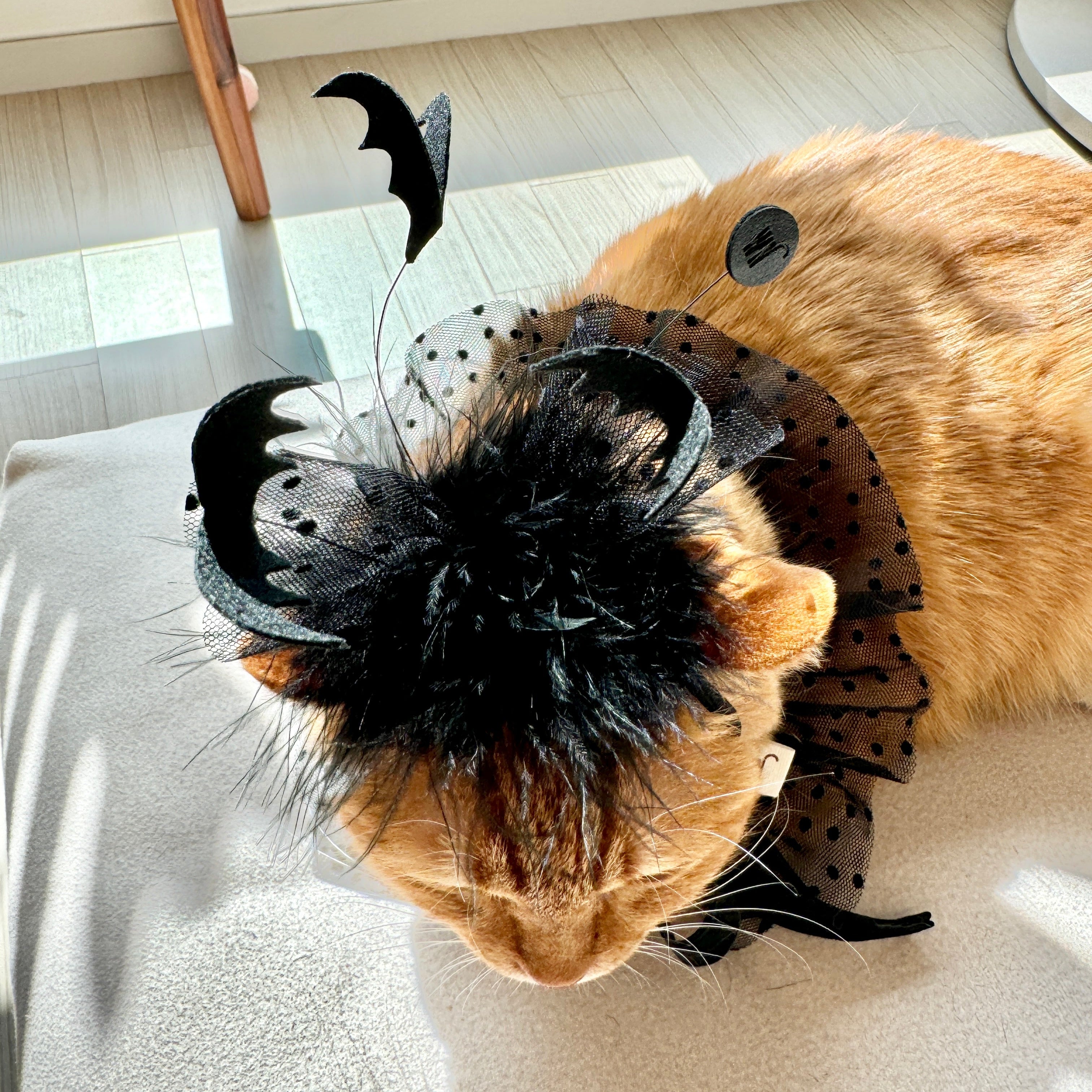 Flock of Bats Headpiece