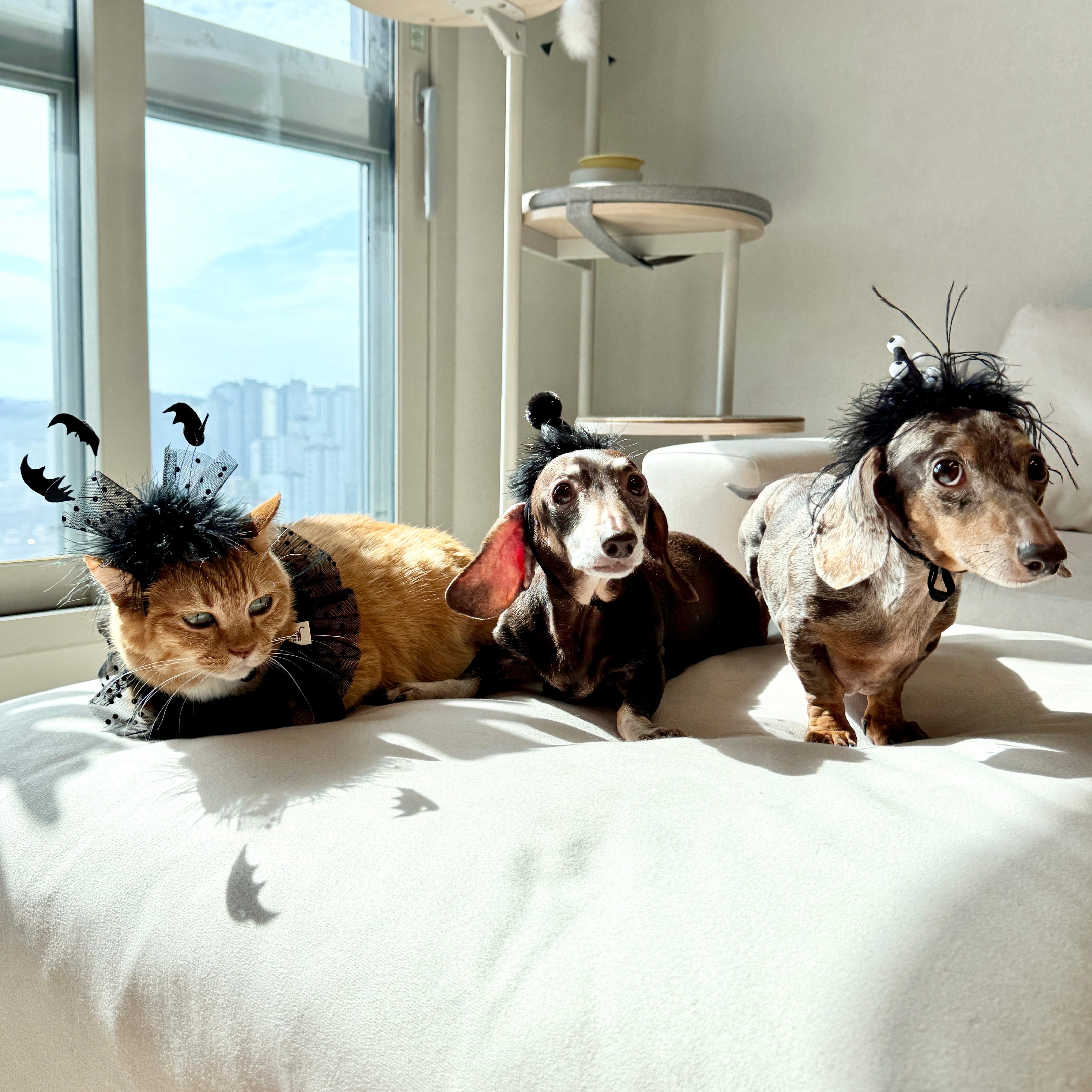 Flock of Bats Headpiece