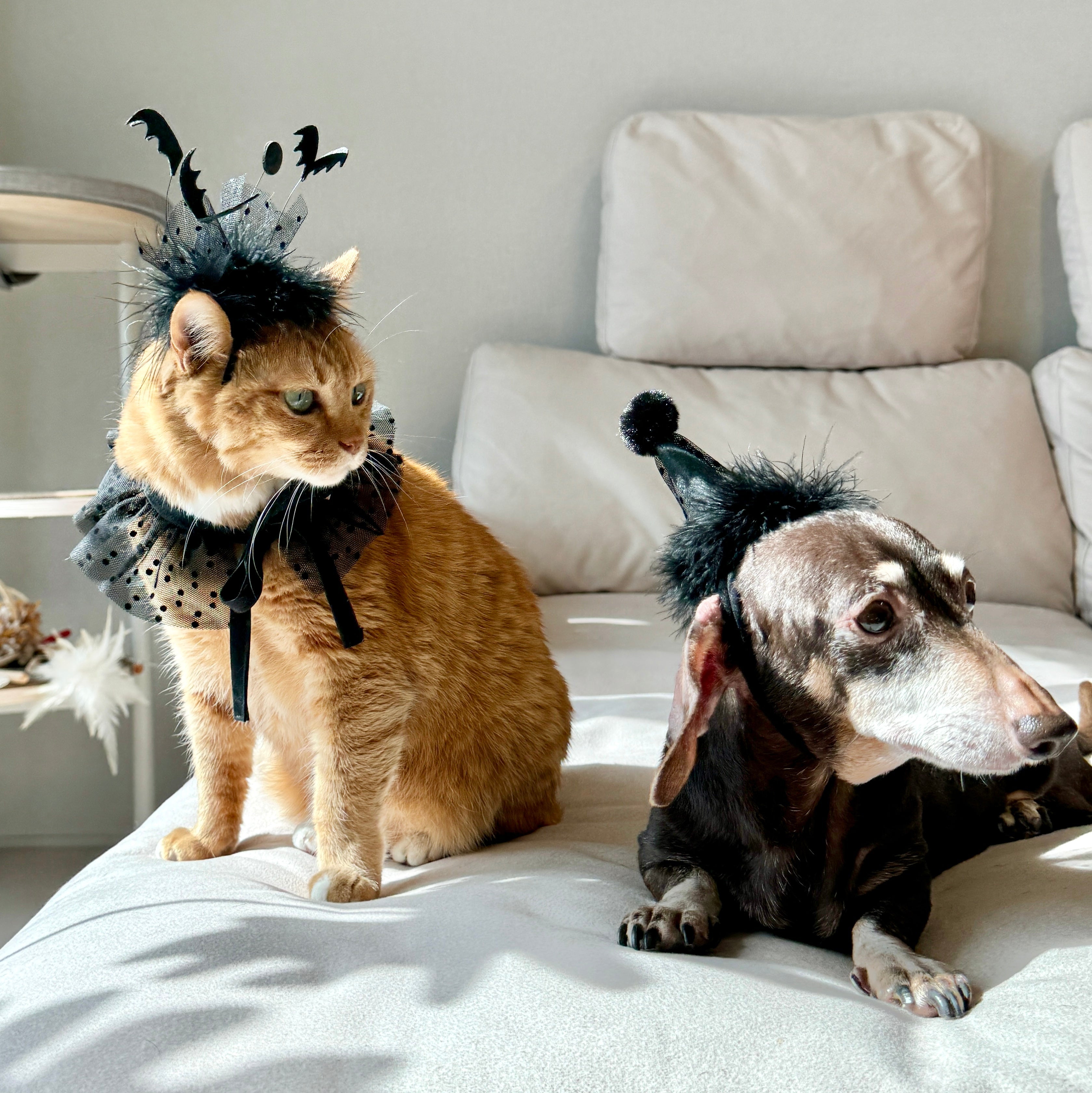 Flock of Bats Headpiece