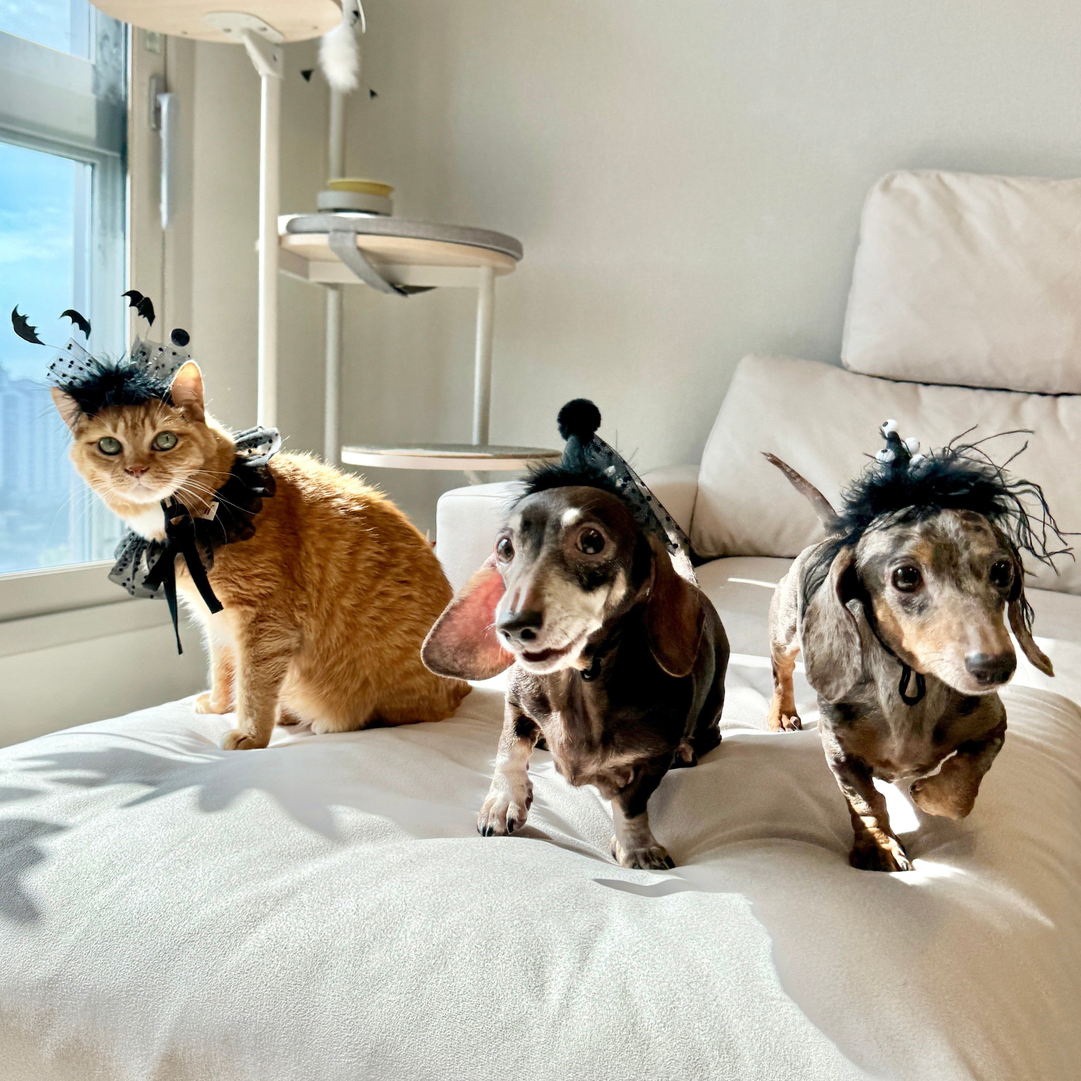 Flock of Bats Headpiece