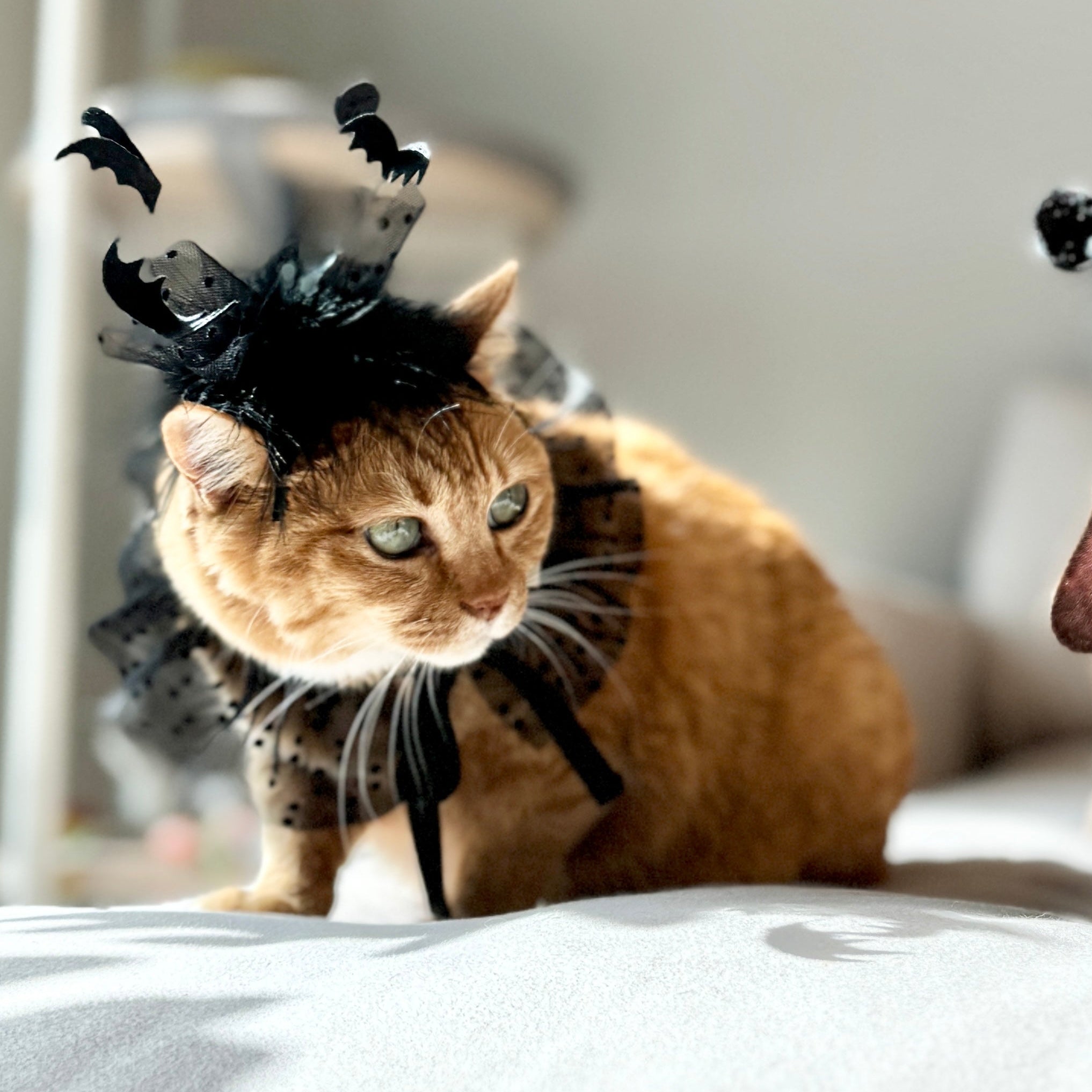 Flock of Bats Headpiece