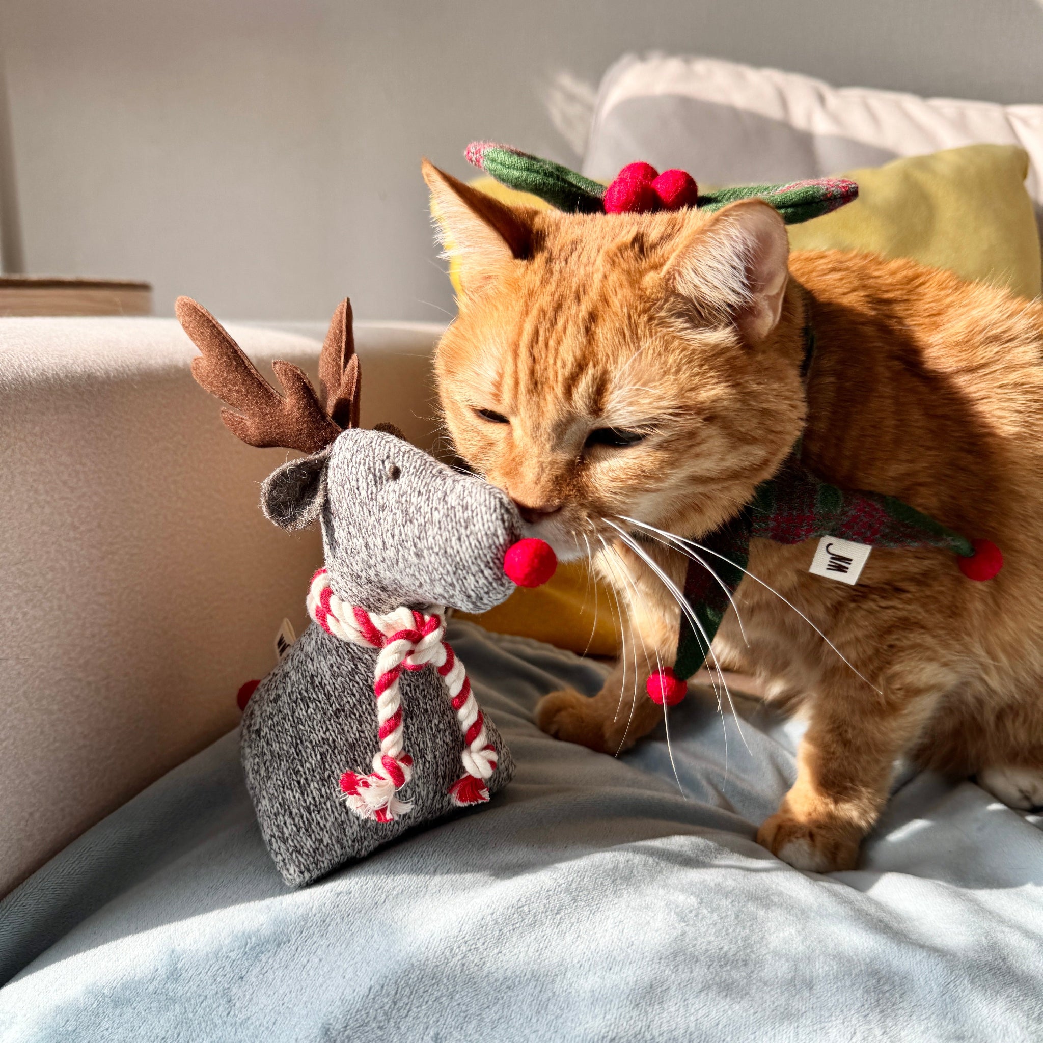 Holly Hair Clip(pre-order)