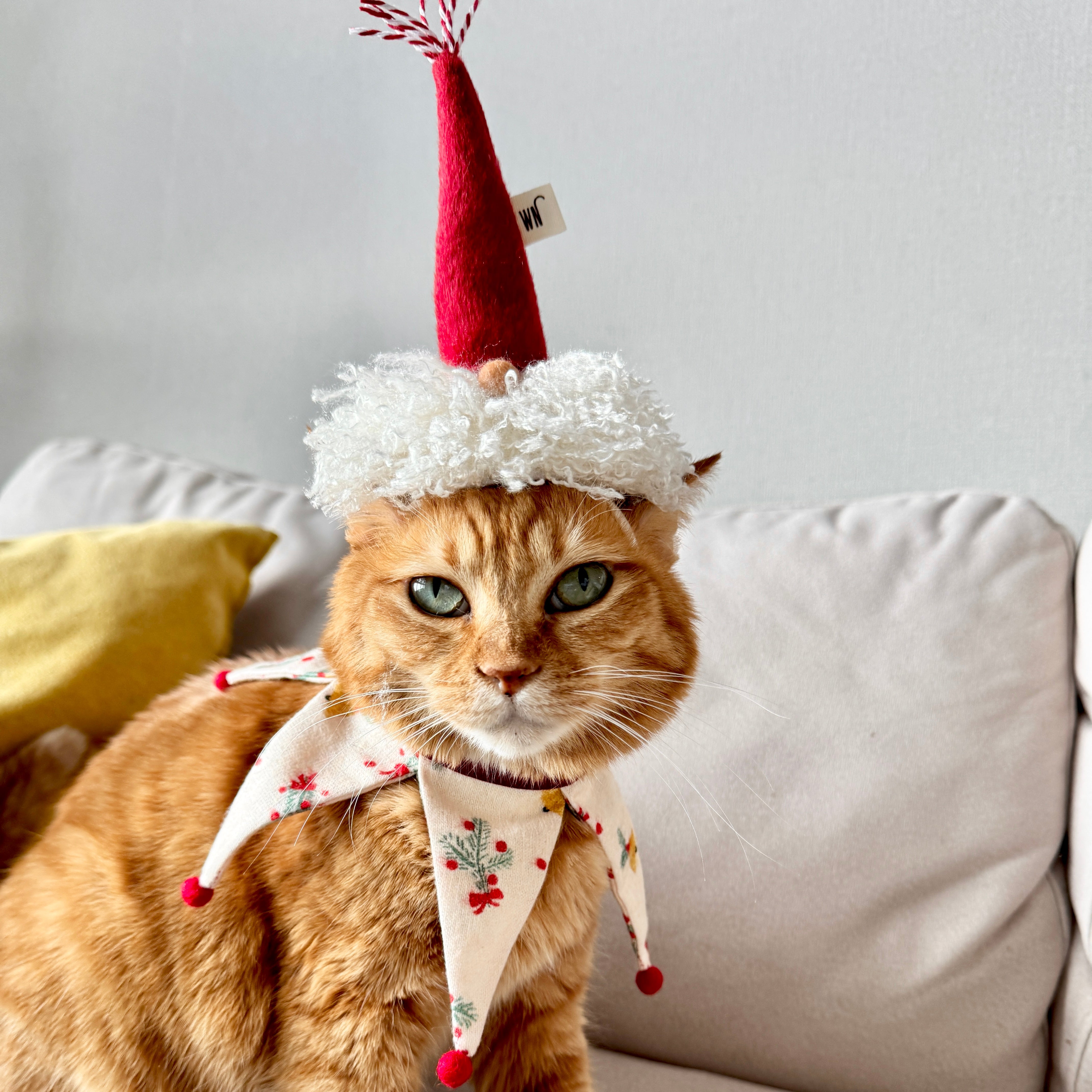 Gnome Cape (pre-order)