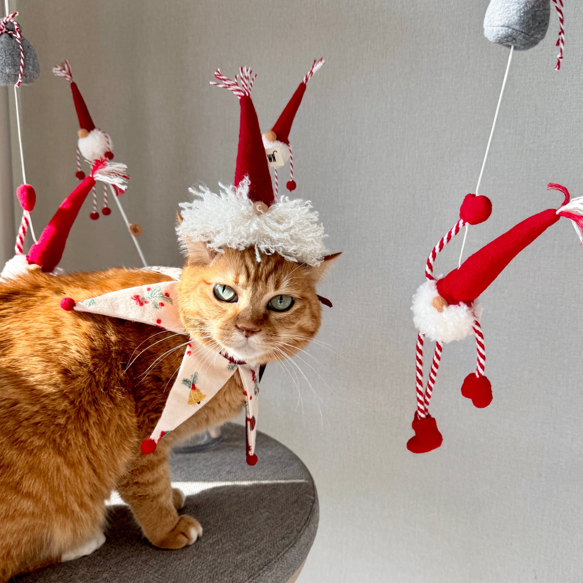 Gnome Hat (pre-order)