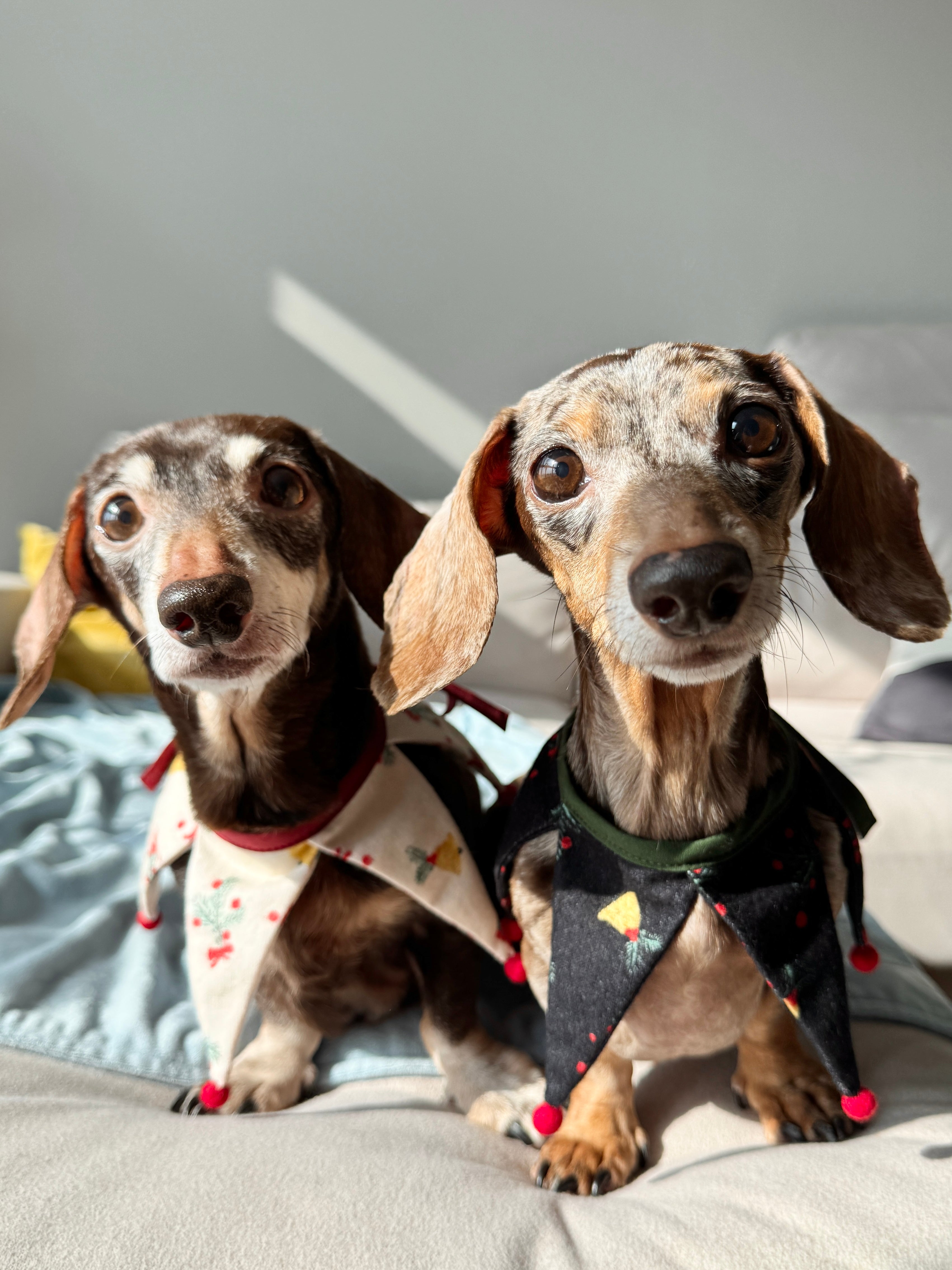 Gnome Cape (pre-order)