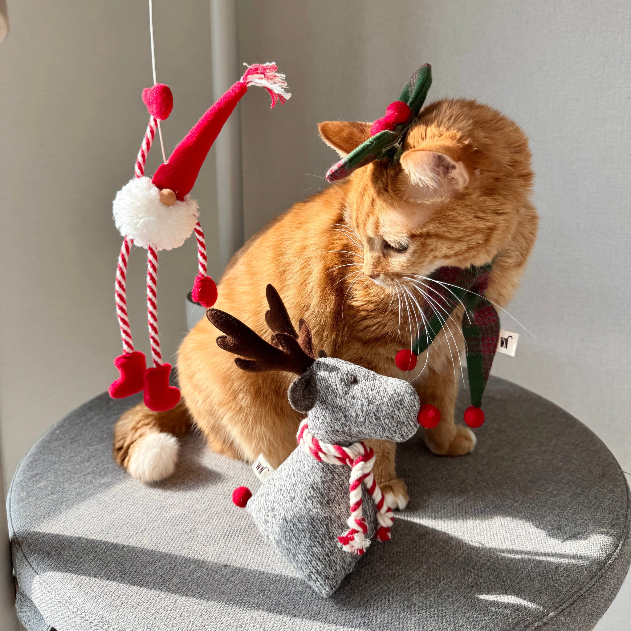 Holly Hair Clip(pre-order)