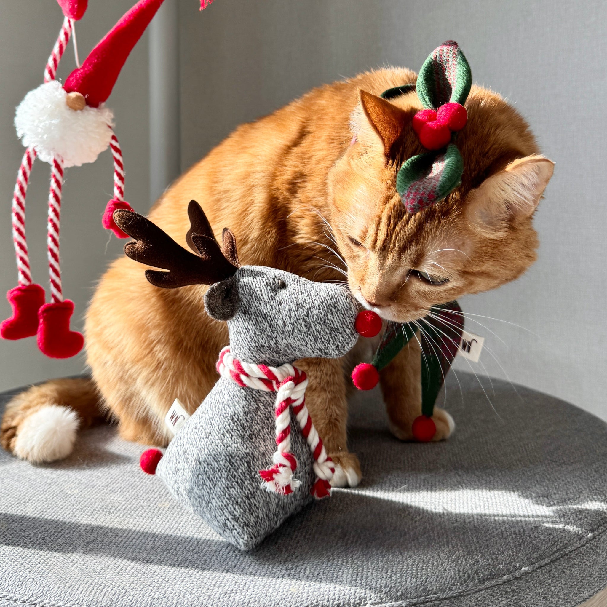 Rudolph Toy (pre-order)