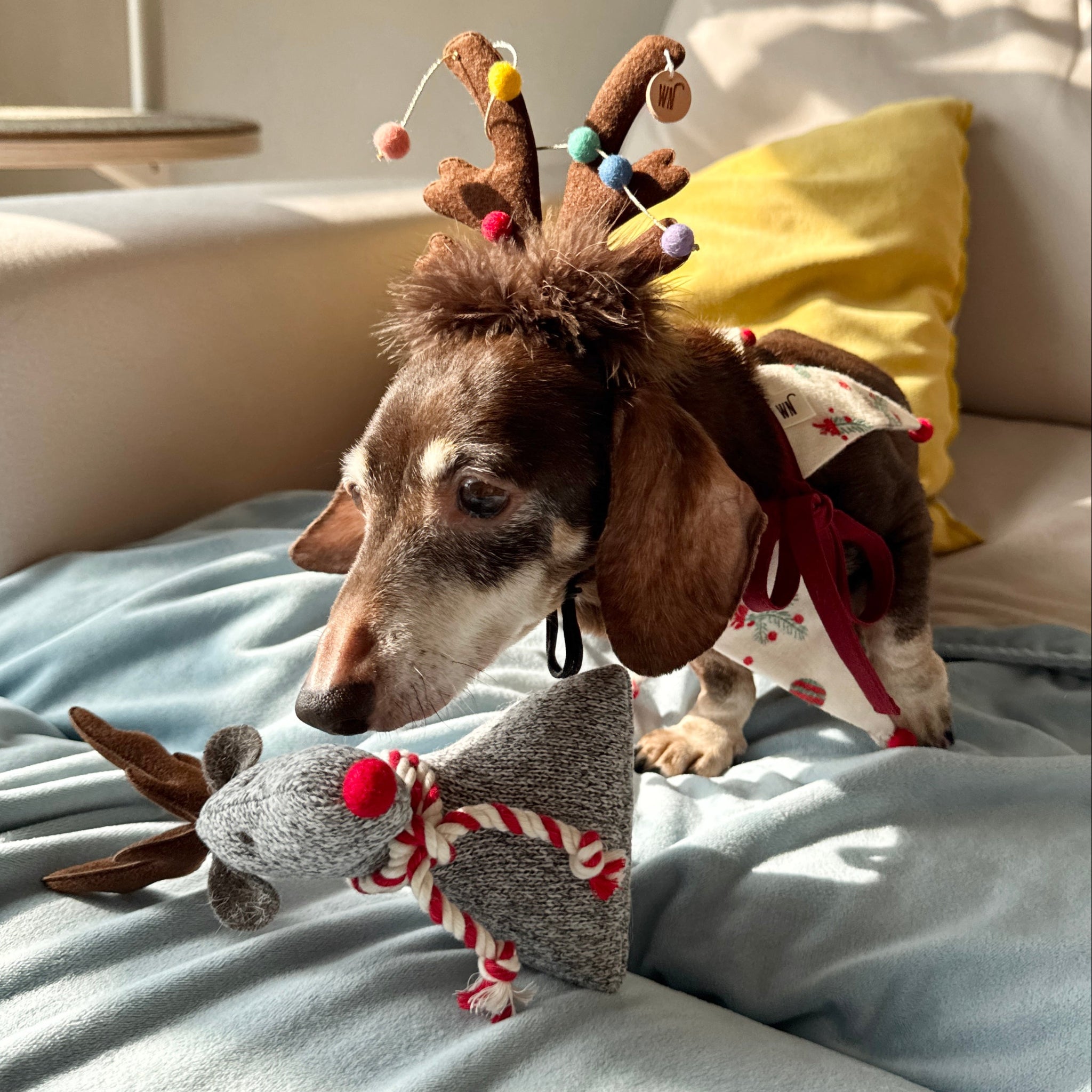 Rudolph Toy (pre-order)