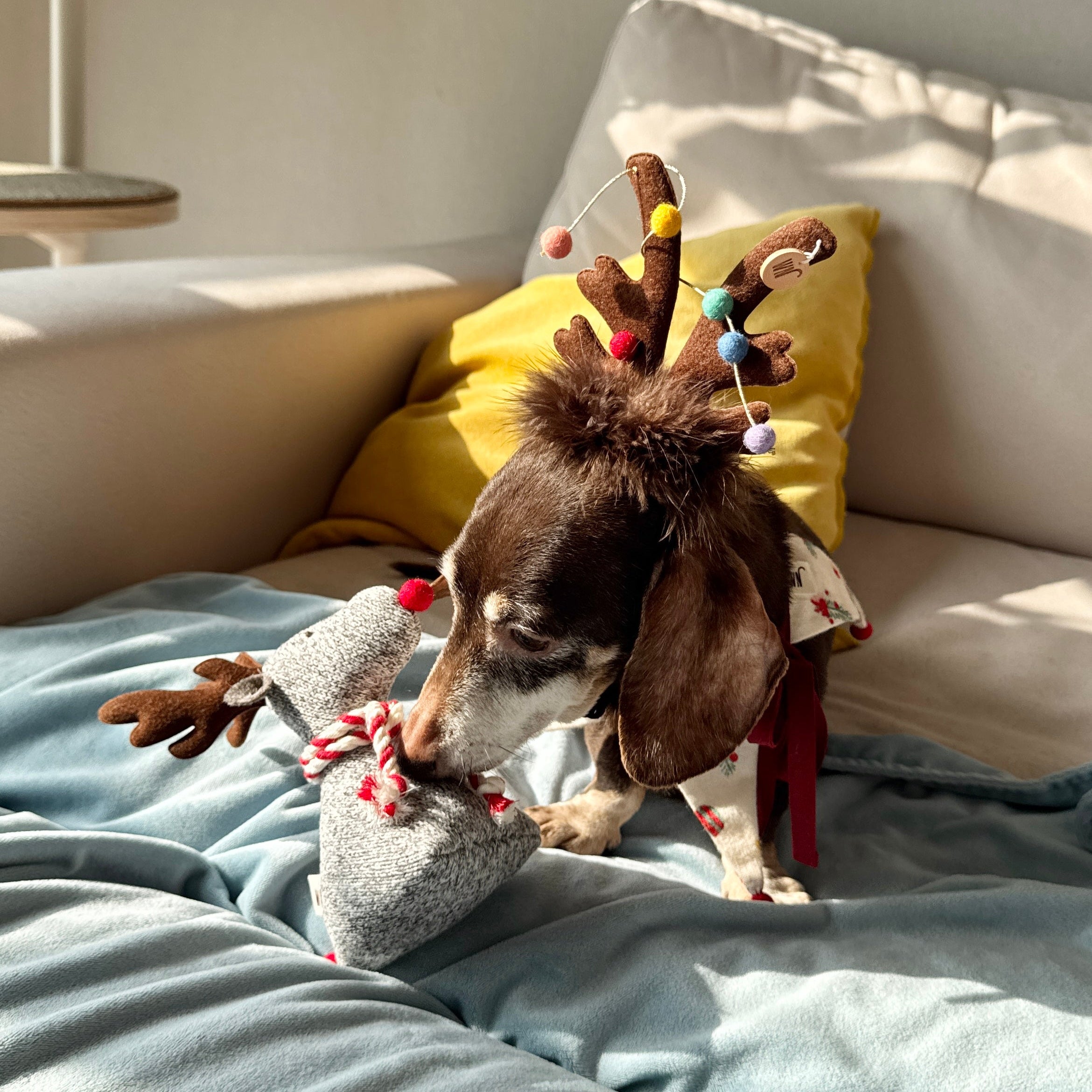 Mam Rudolph Hat (pre-order)