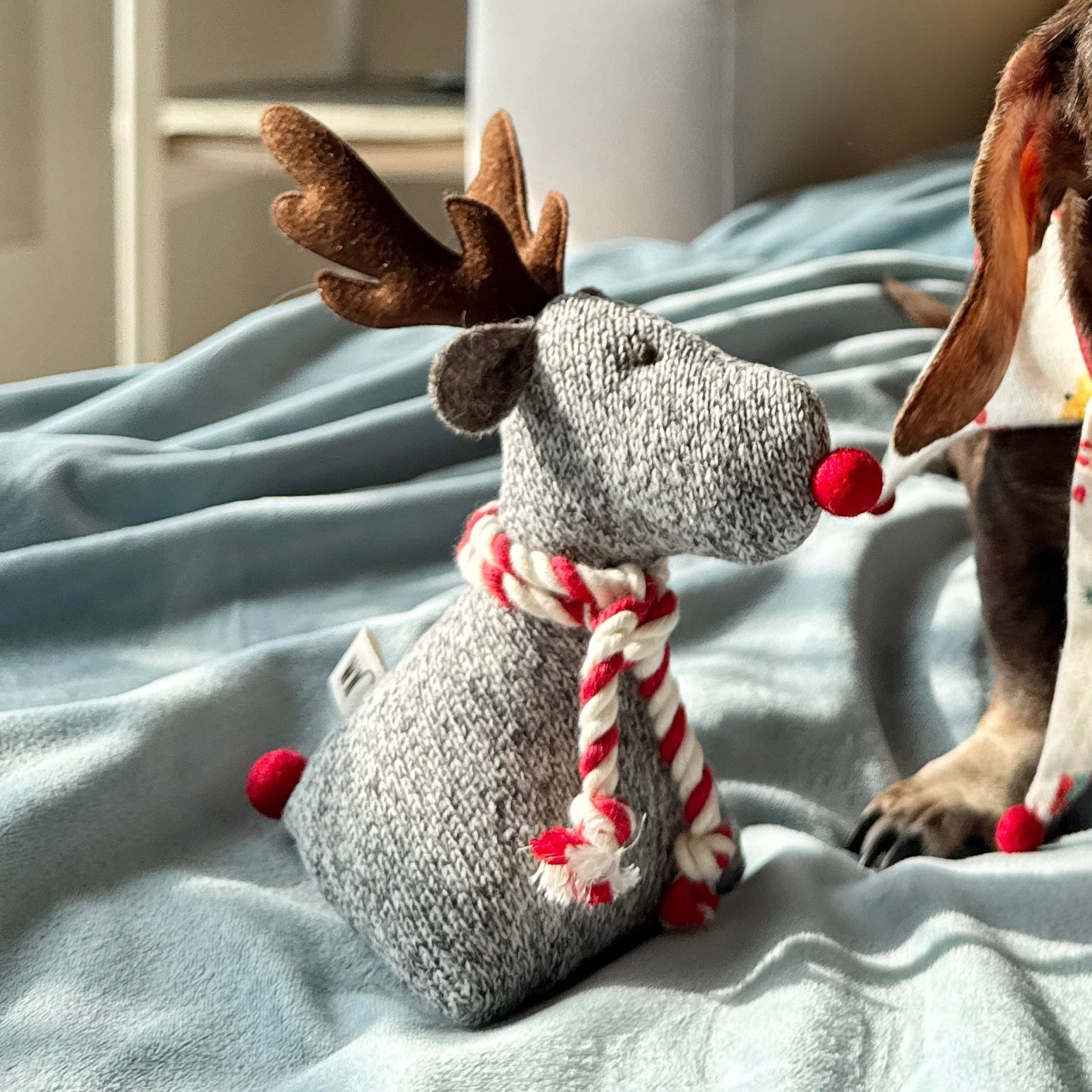 Rudolph Toy (pre-order)