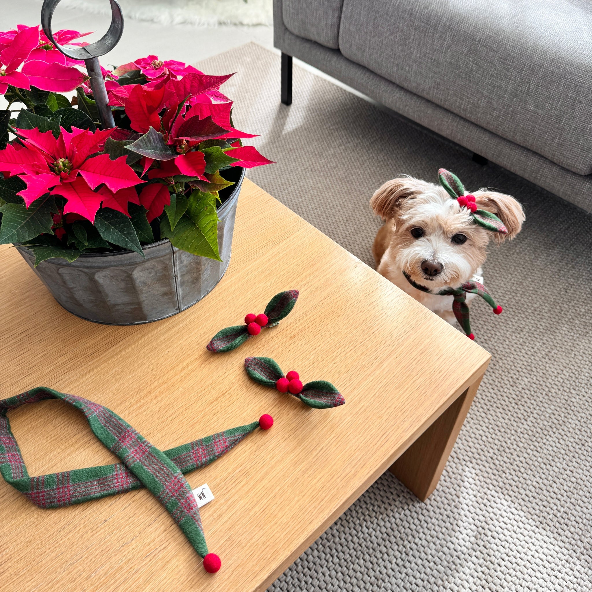 Holly Hair Clip(pre-order)