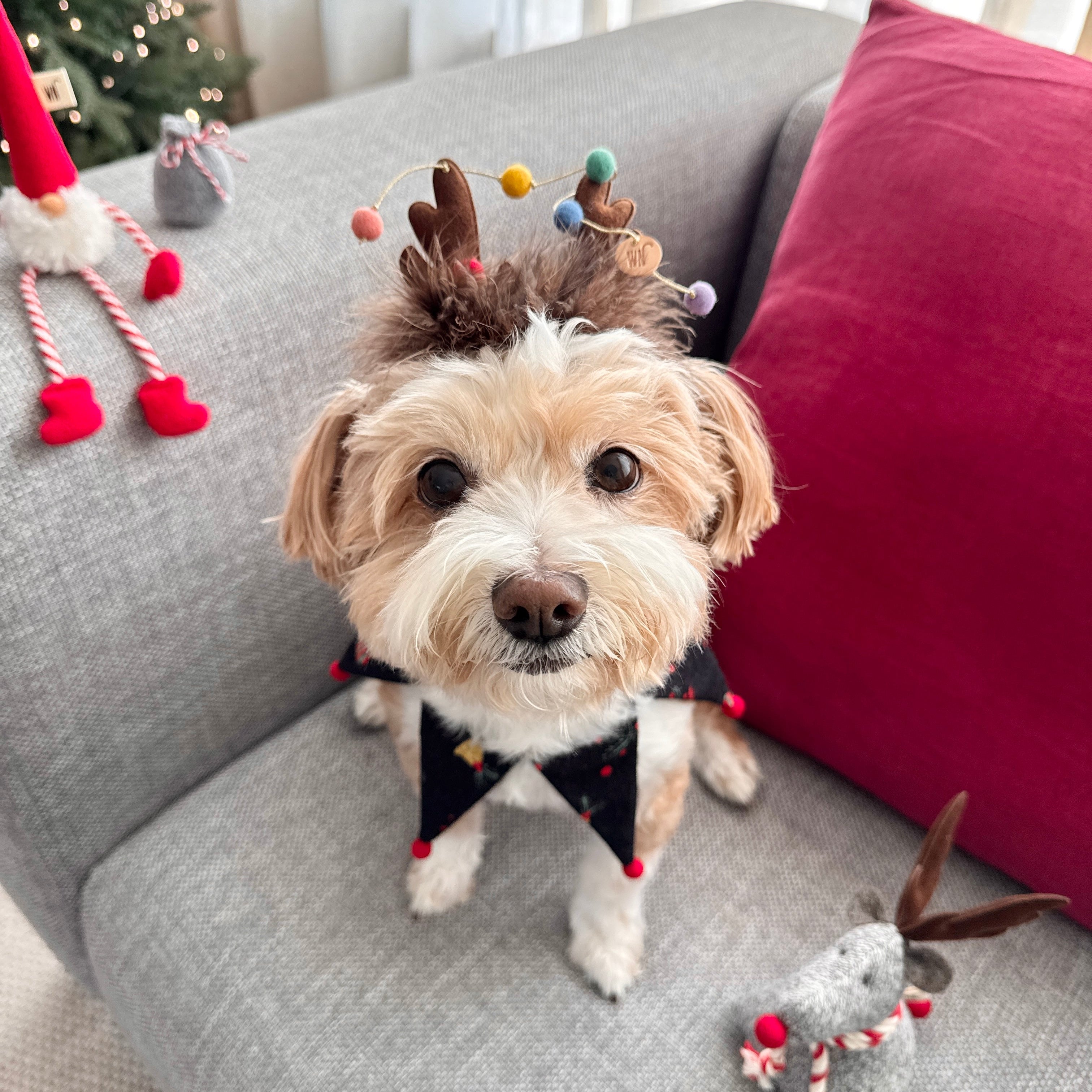 Baby Rudolph Hat (pre-order)