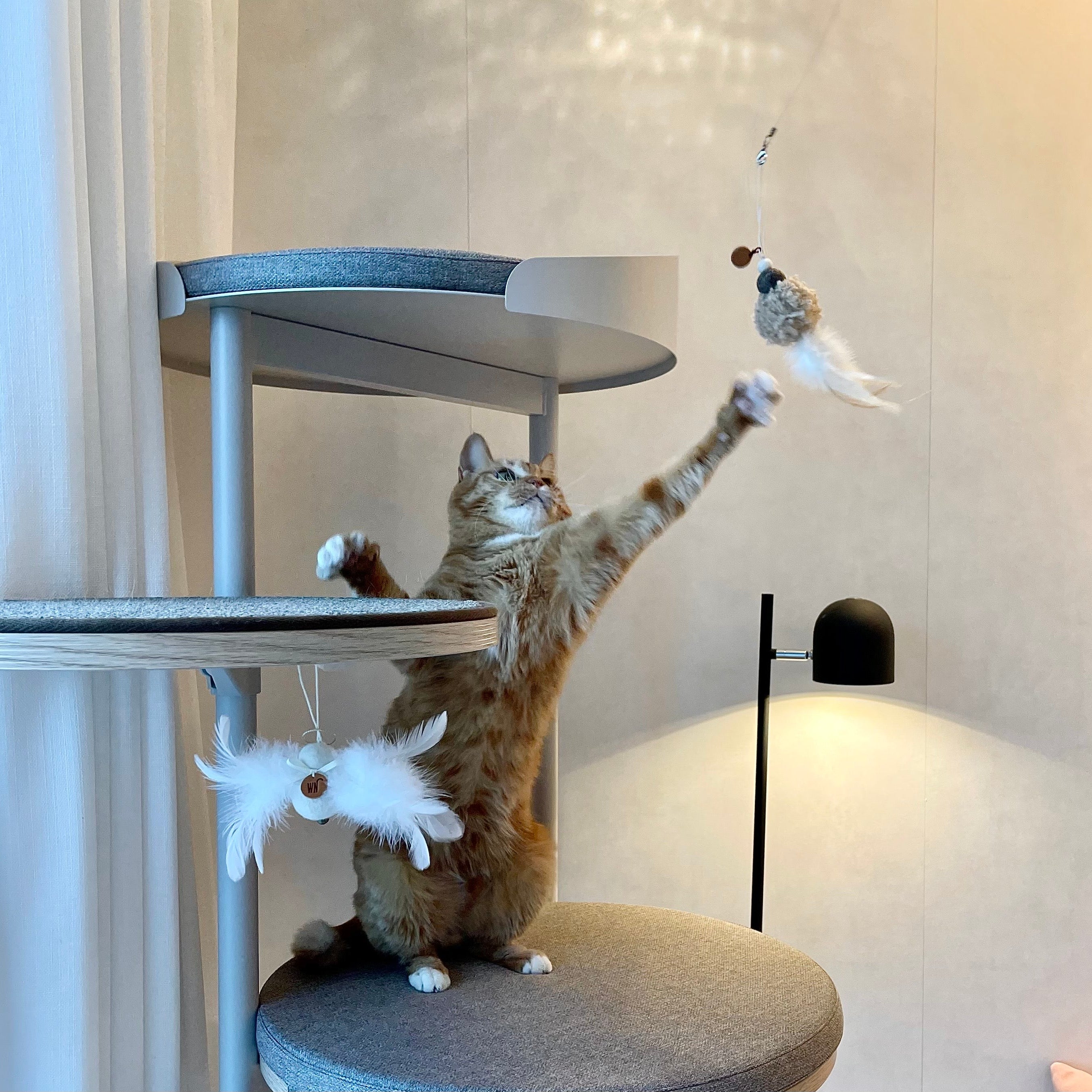 Angel Toy (pre-order)