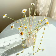 Daisy Wand