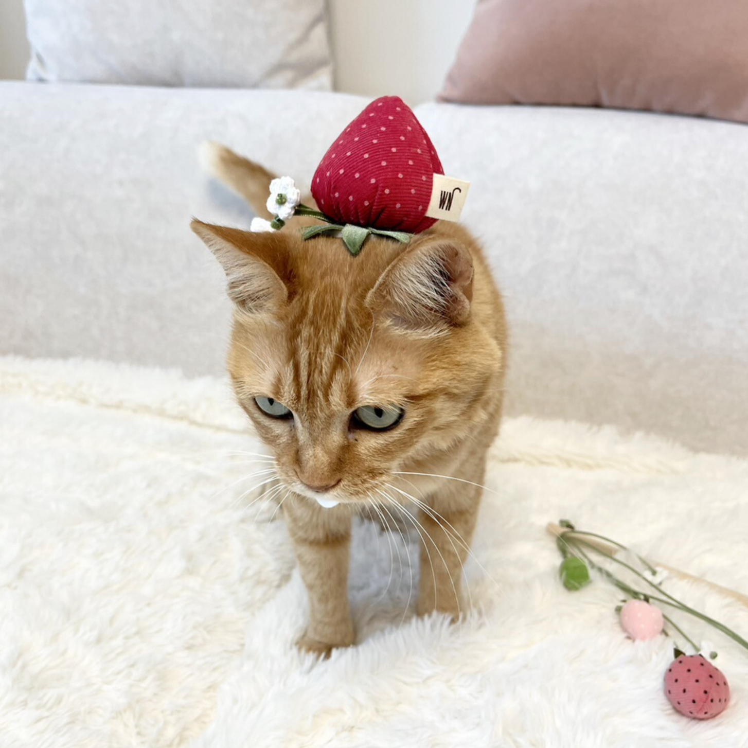 Strawberry Headpiece (pre-order)