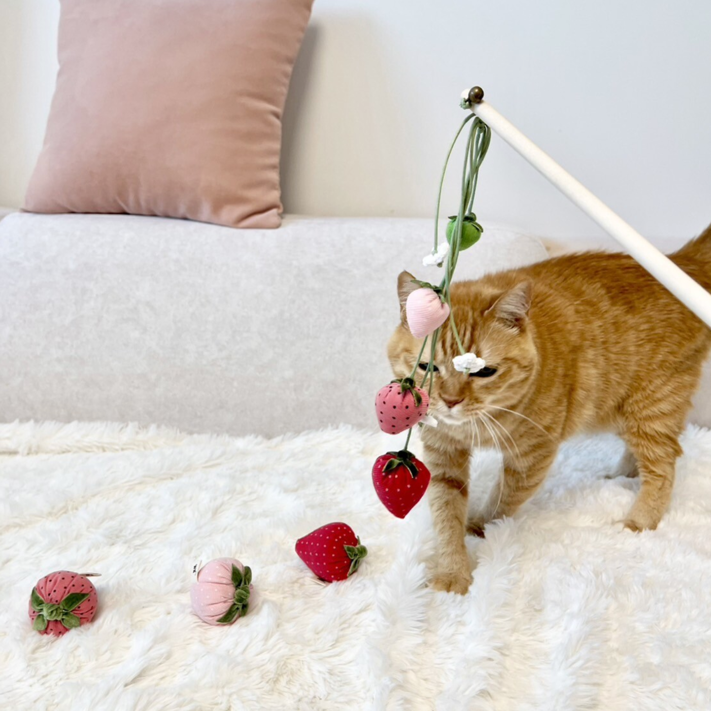 Strawberry Rod