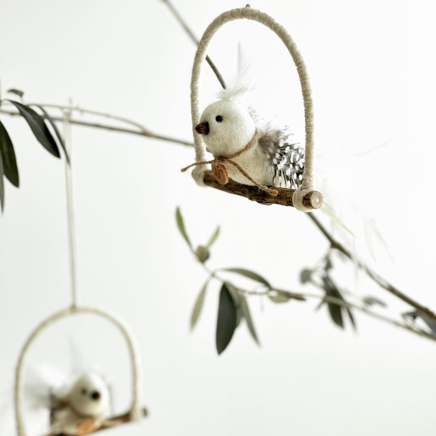 Parakeet