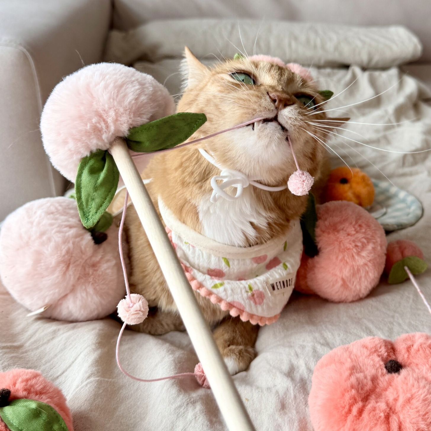 Peach Juice Wand