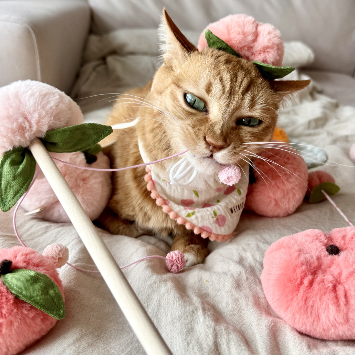 Peach Juice Wand