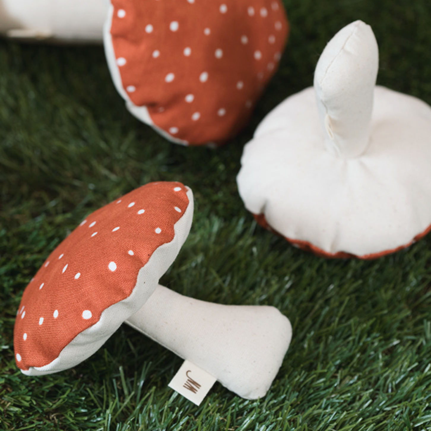 Mushroom