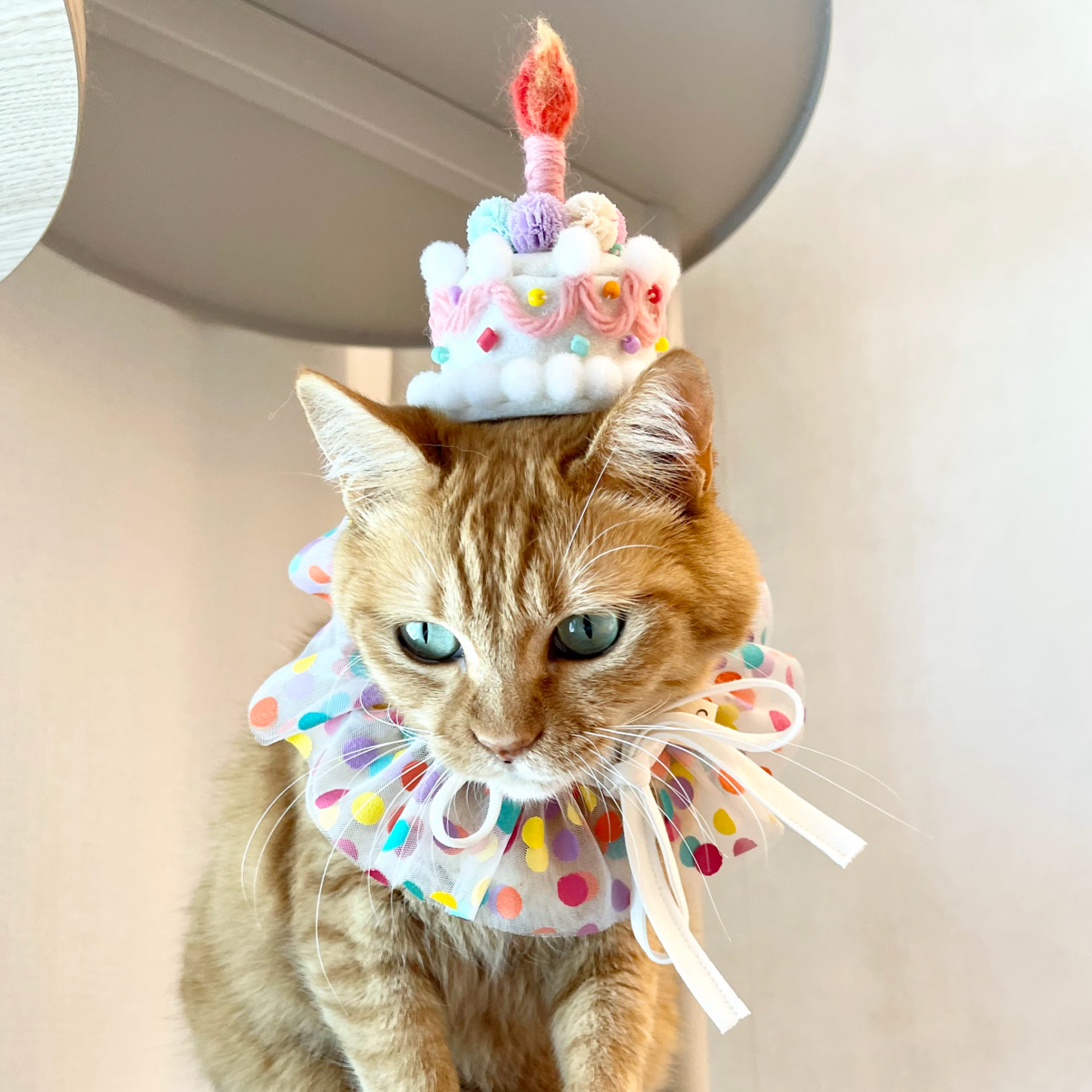 Cake Headpiece (pre-order)