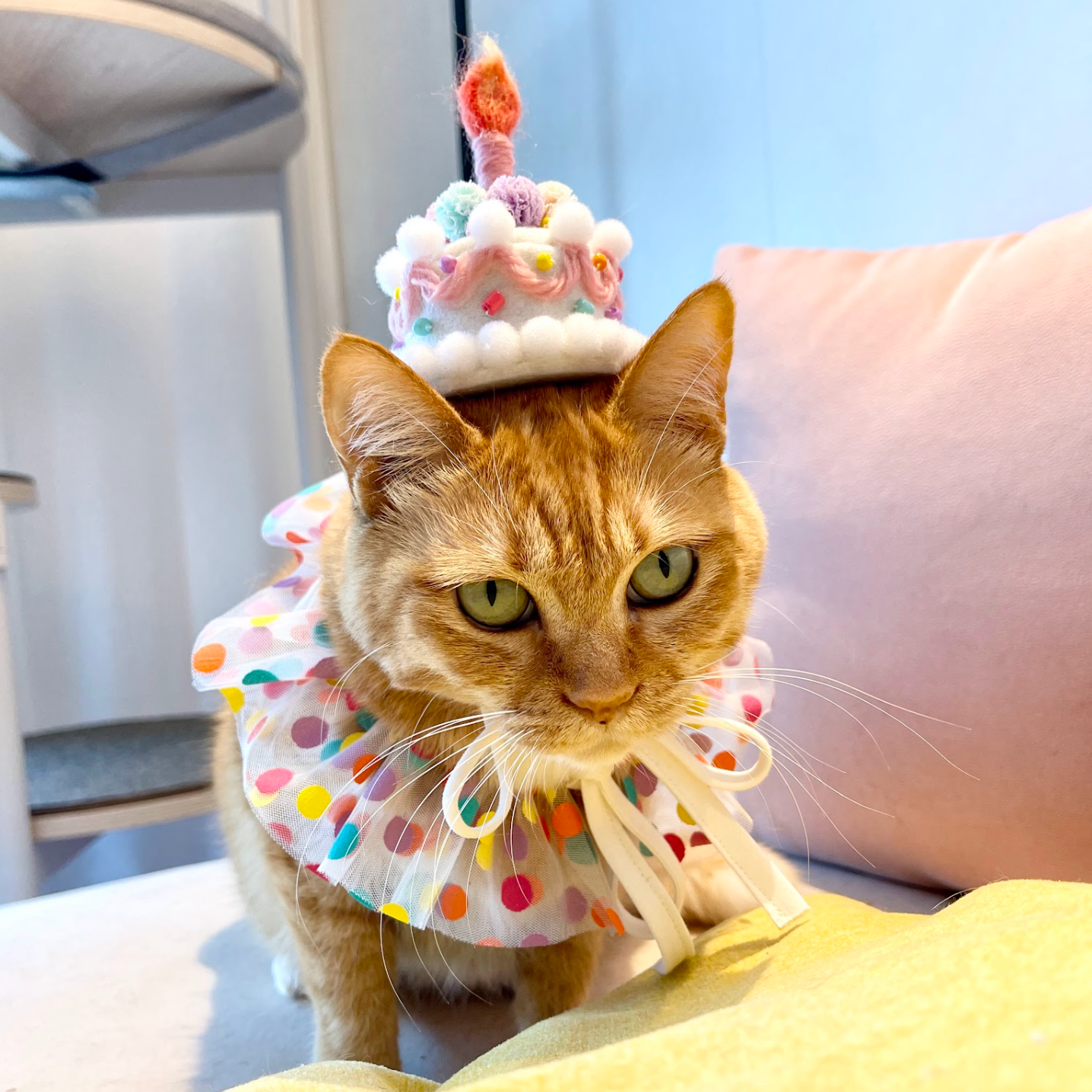 Cake Headpiece (pre-order)