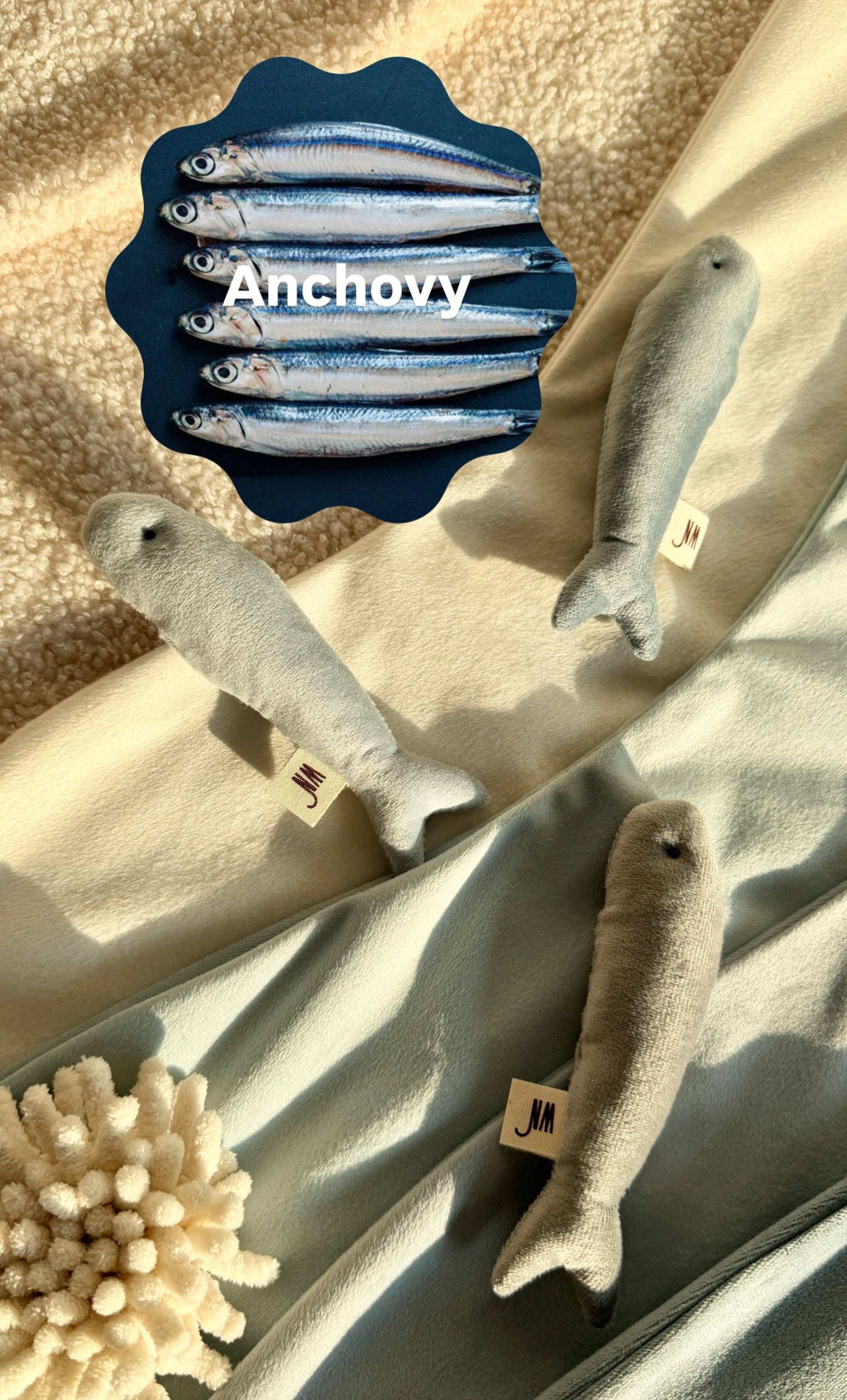 Anchovy 3 Set