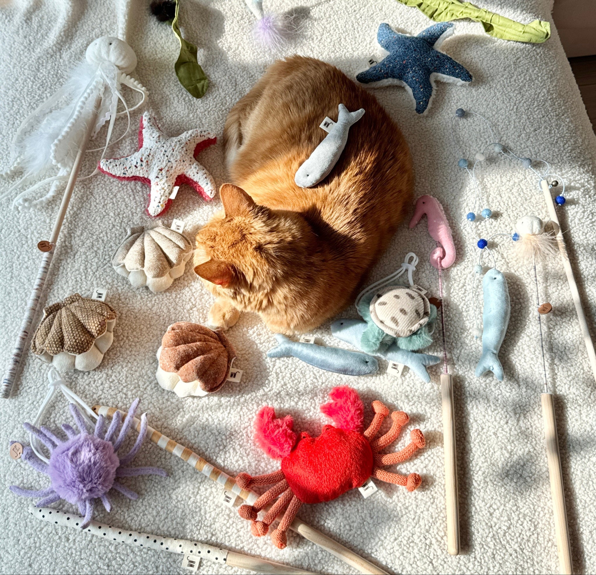Crab Toy