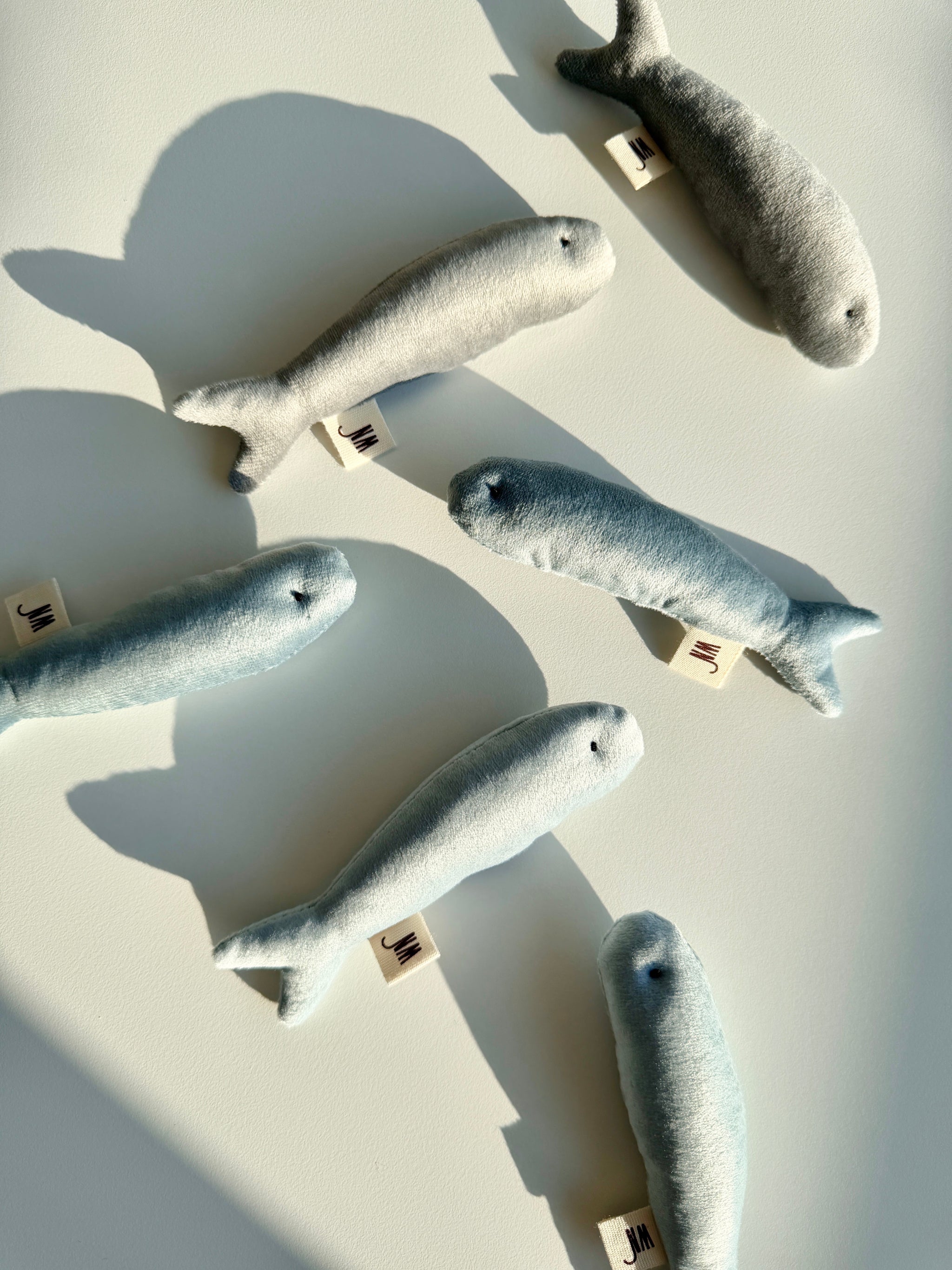 Anchovy 3 Set
