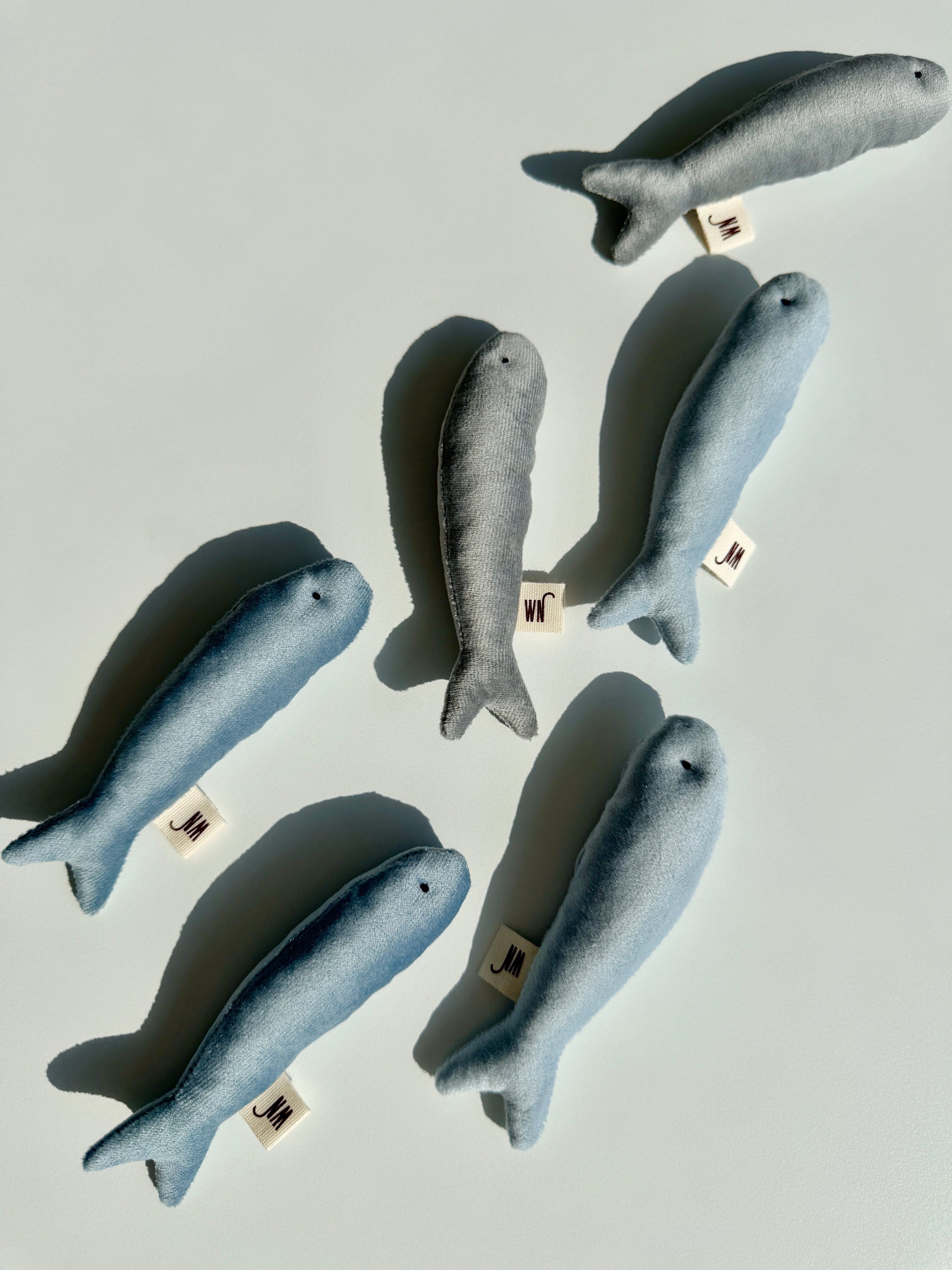 Anchovy 3 Set