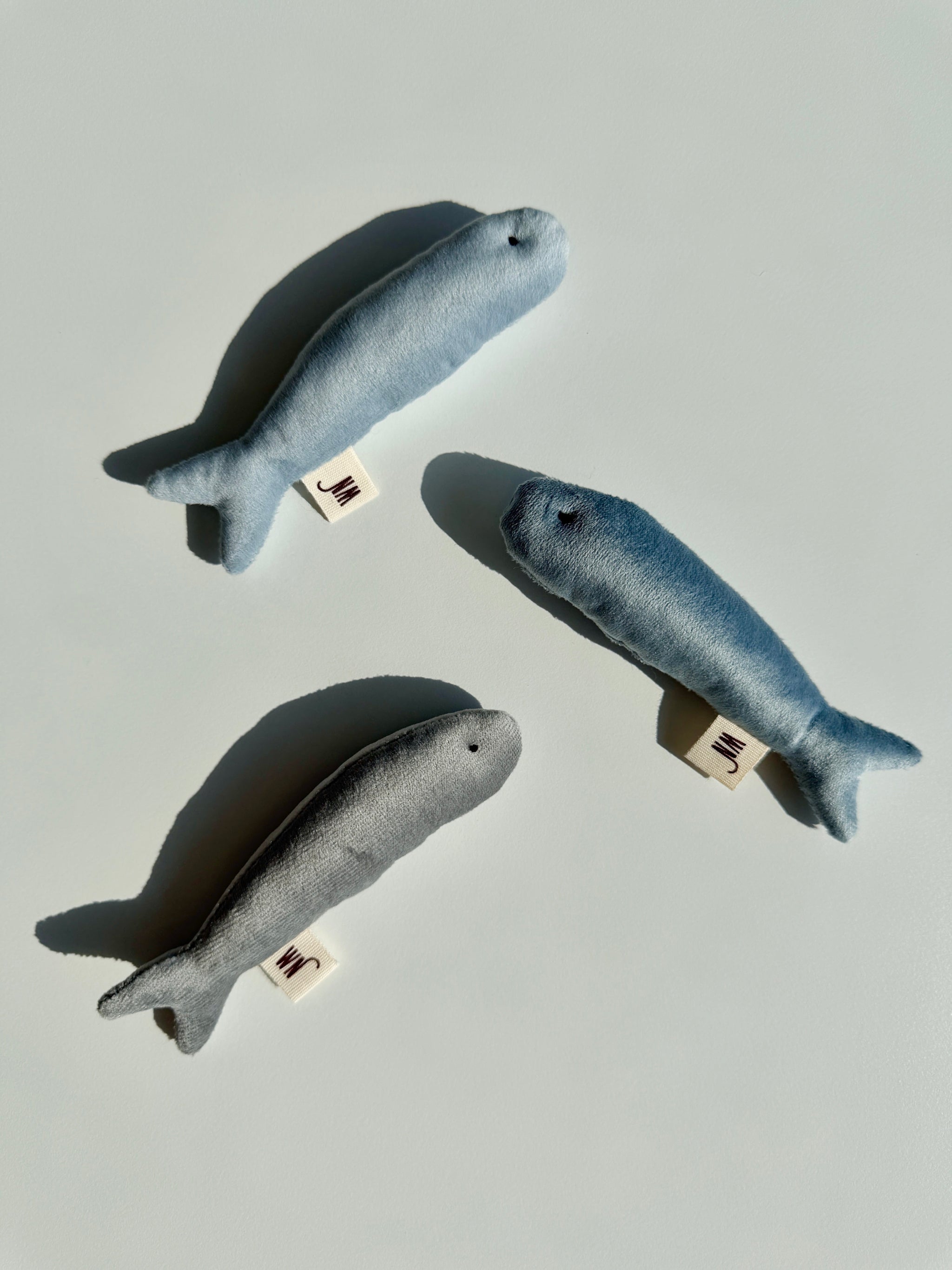 Anchovy 3 Set