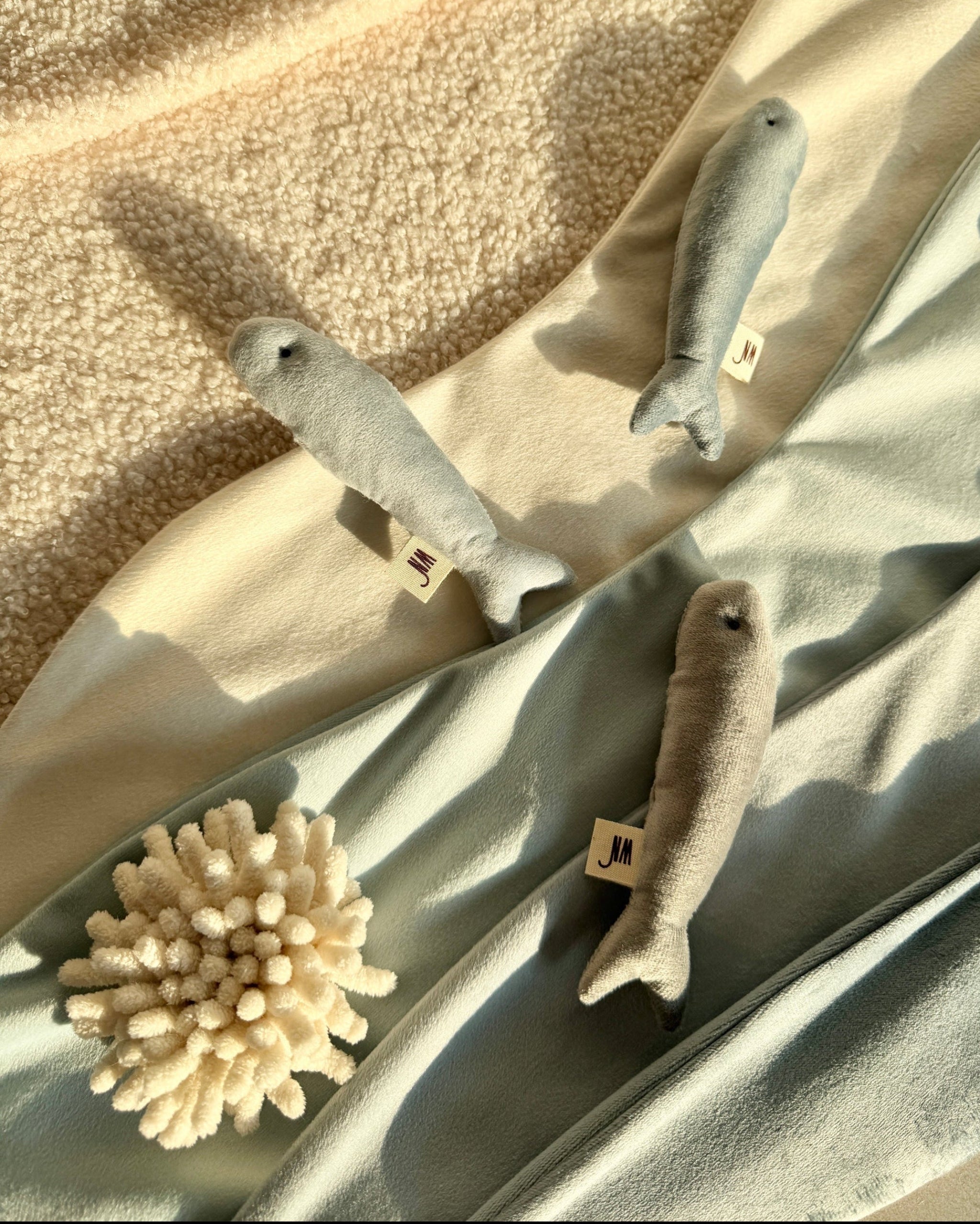 Anchovy 3 Set