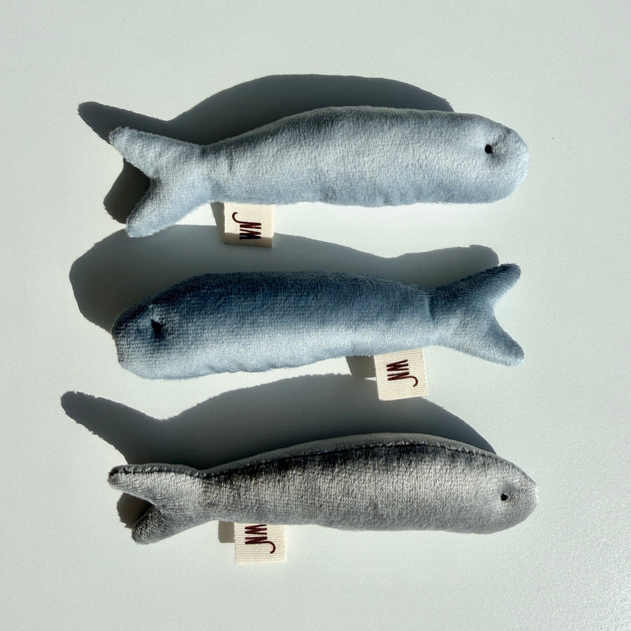 [PRE-ORDER] Anchovy 3 Set