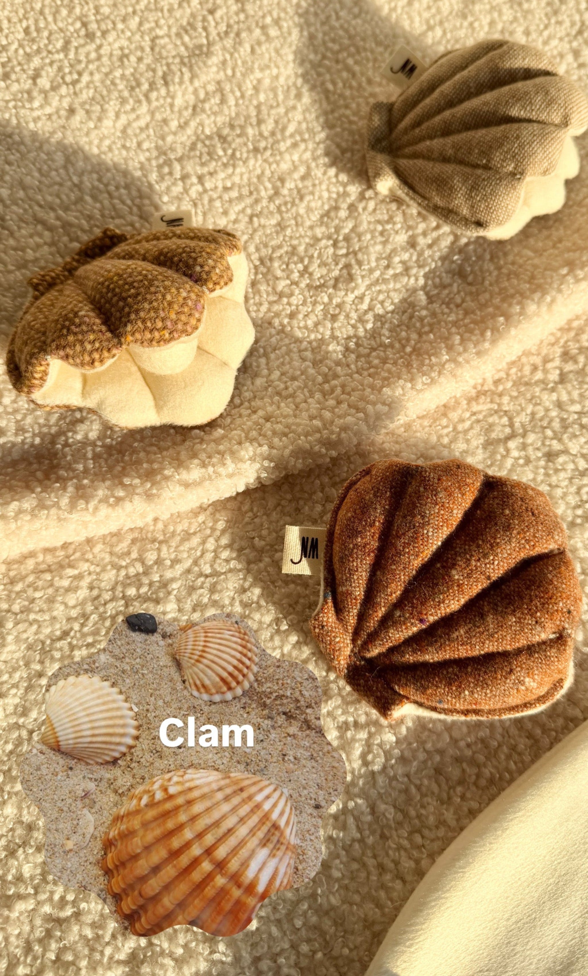 Clam 3 Set