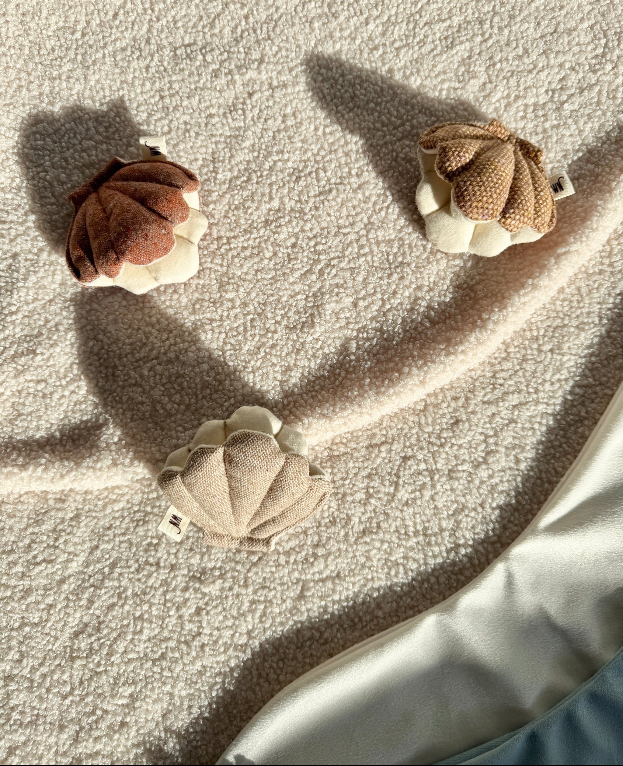 Clam 3 Set