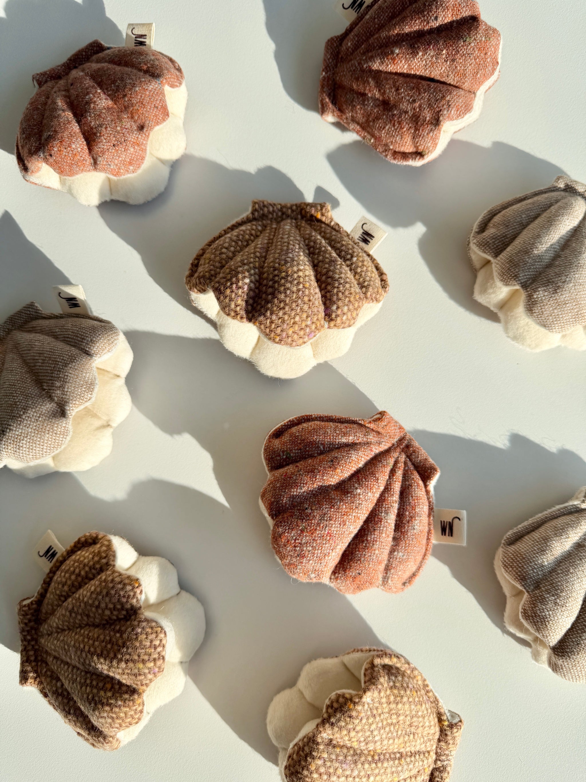 Clam 3 Set