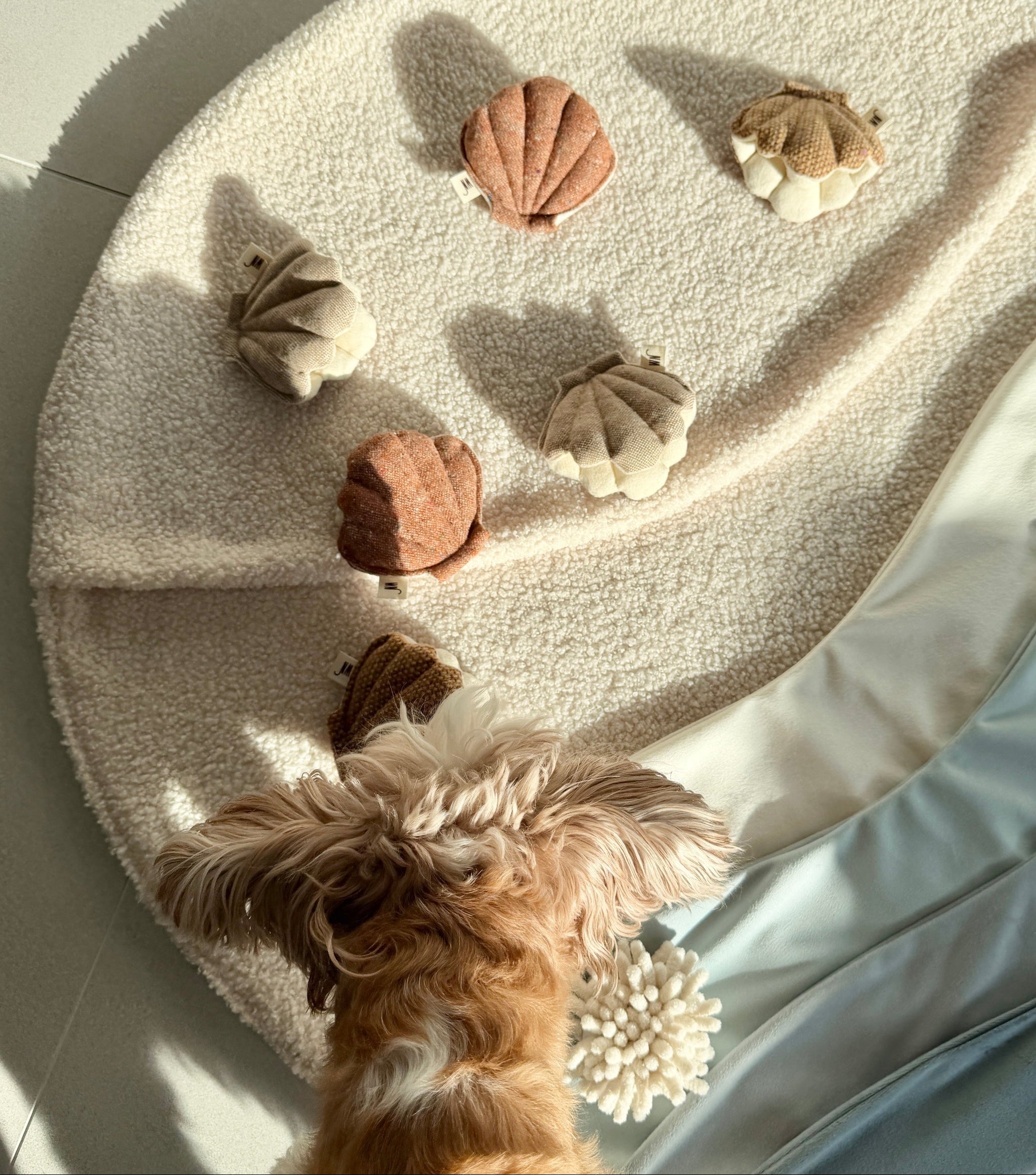 Clam 3 Set