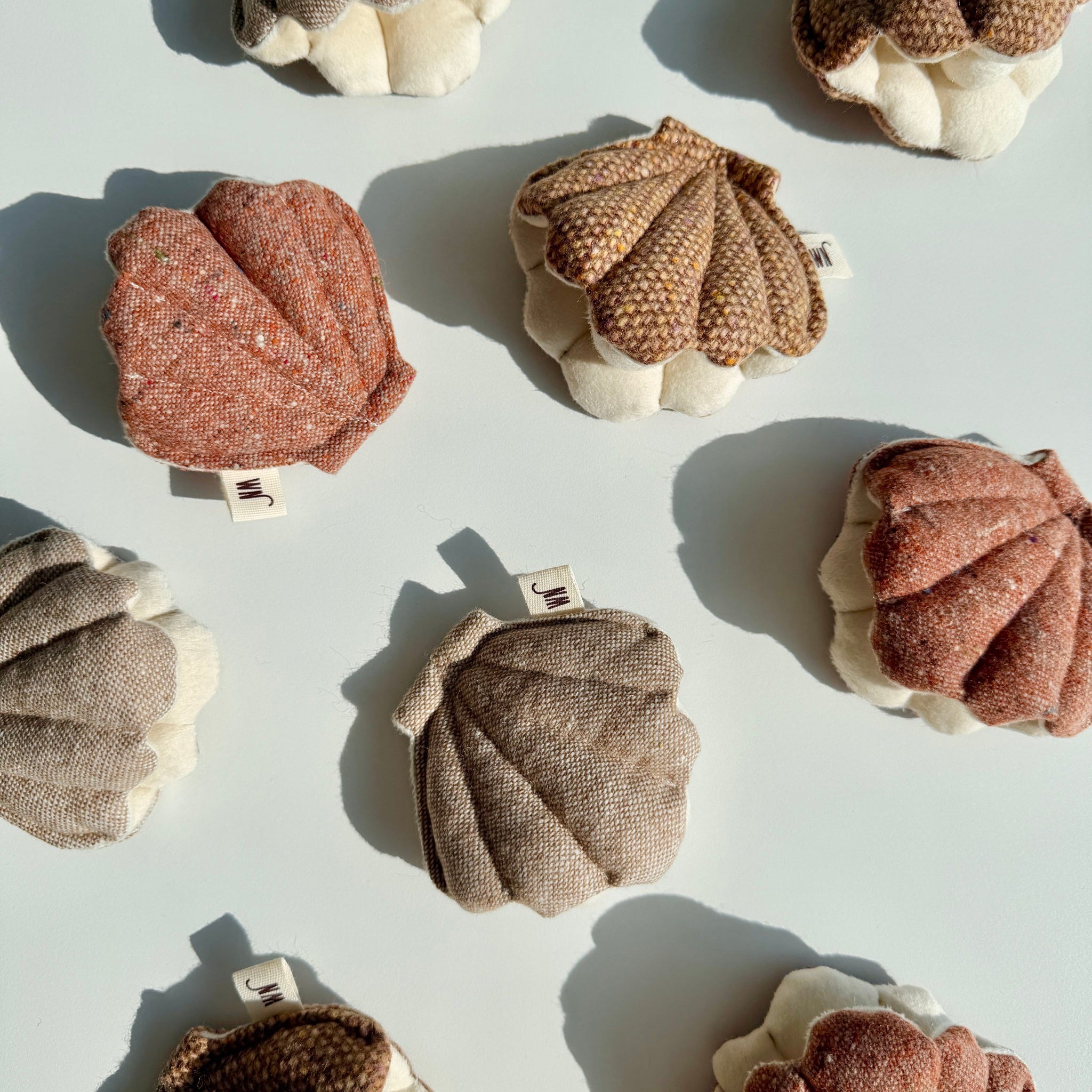 Clam 3 Set